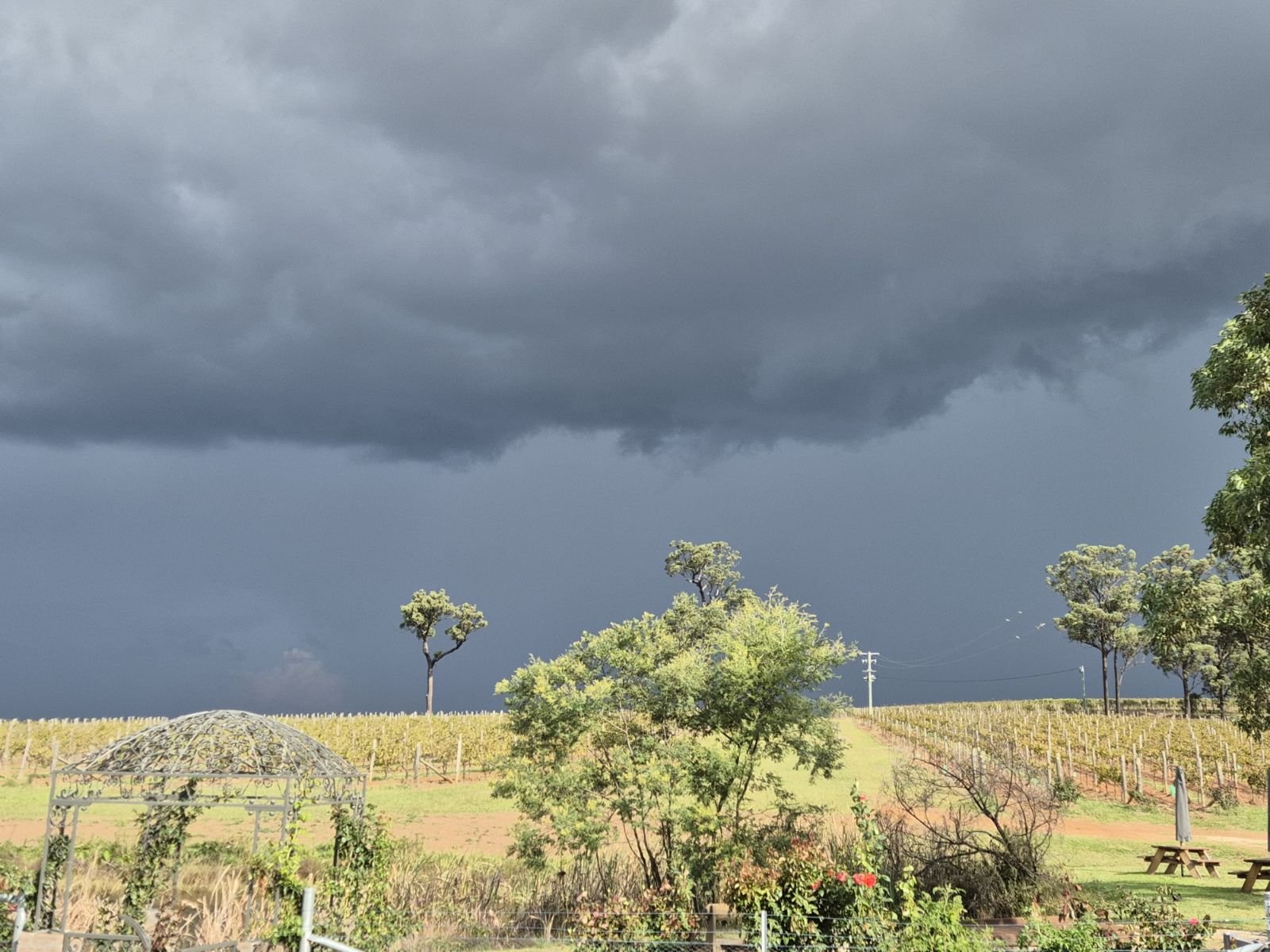 Watching the Storms roll in over the vines and veggie garden. Such an amazing time of year with the changes in weather.

 #huntervalleywinecountry #stormclouds #vineyardstorm