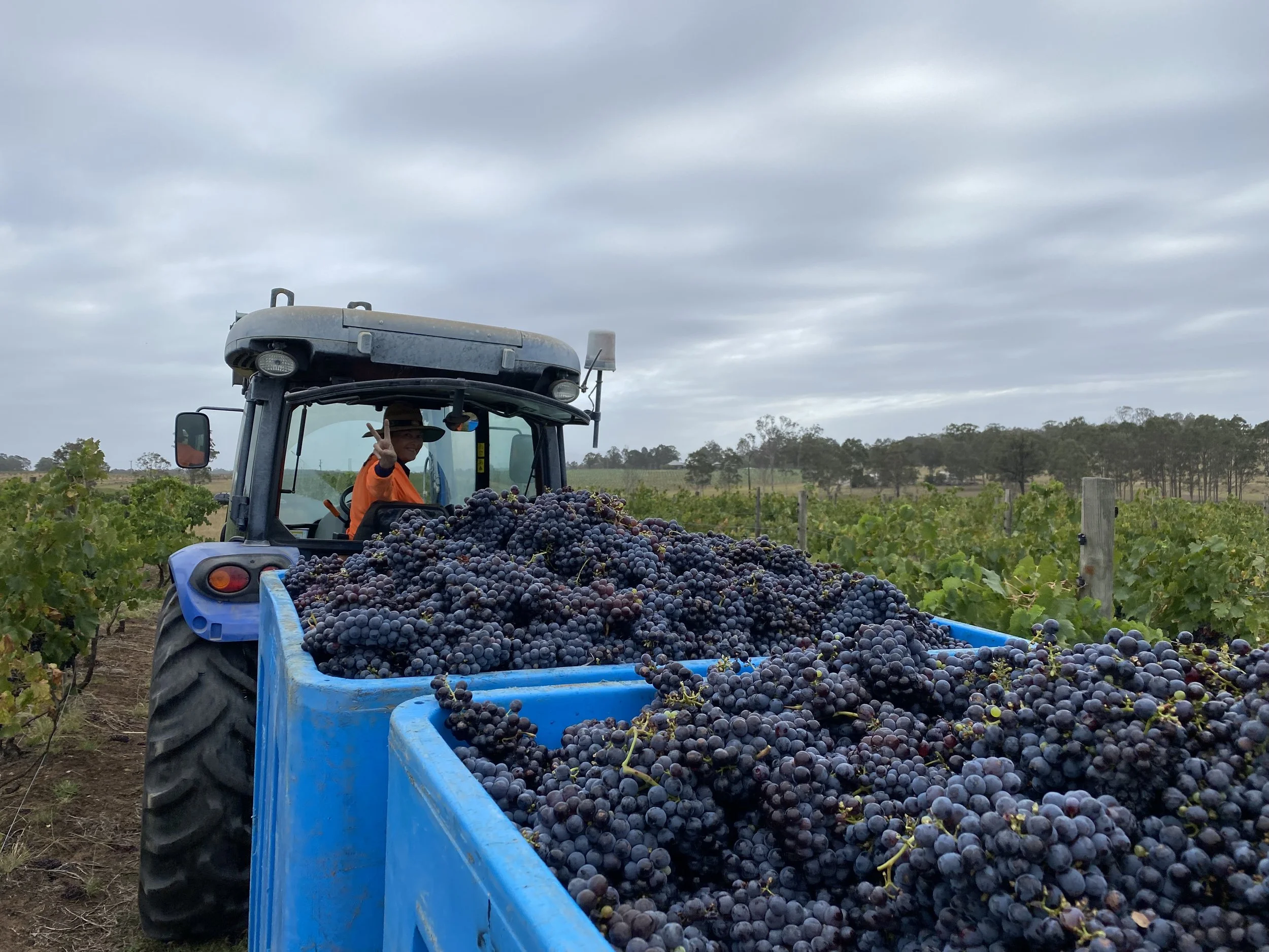 Post Harvest