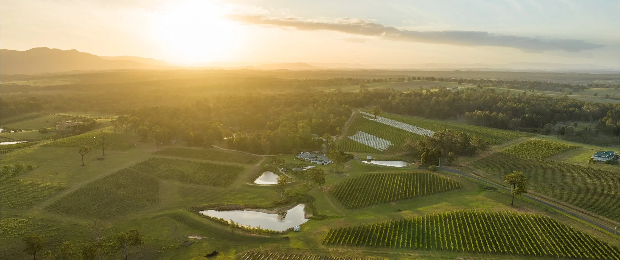 RidgeView Wines