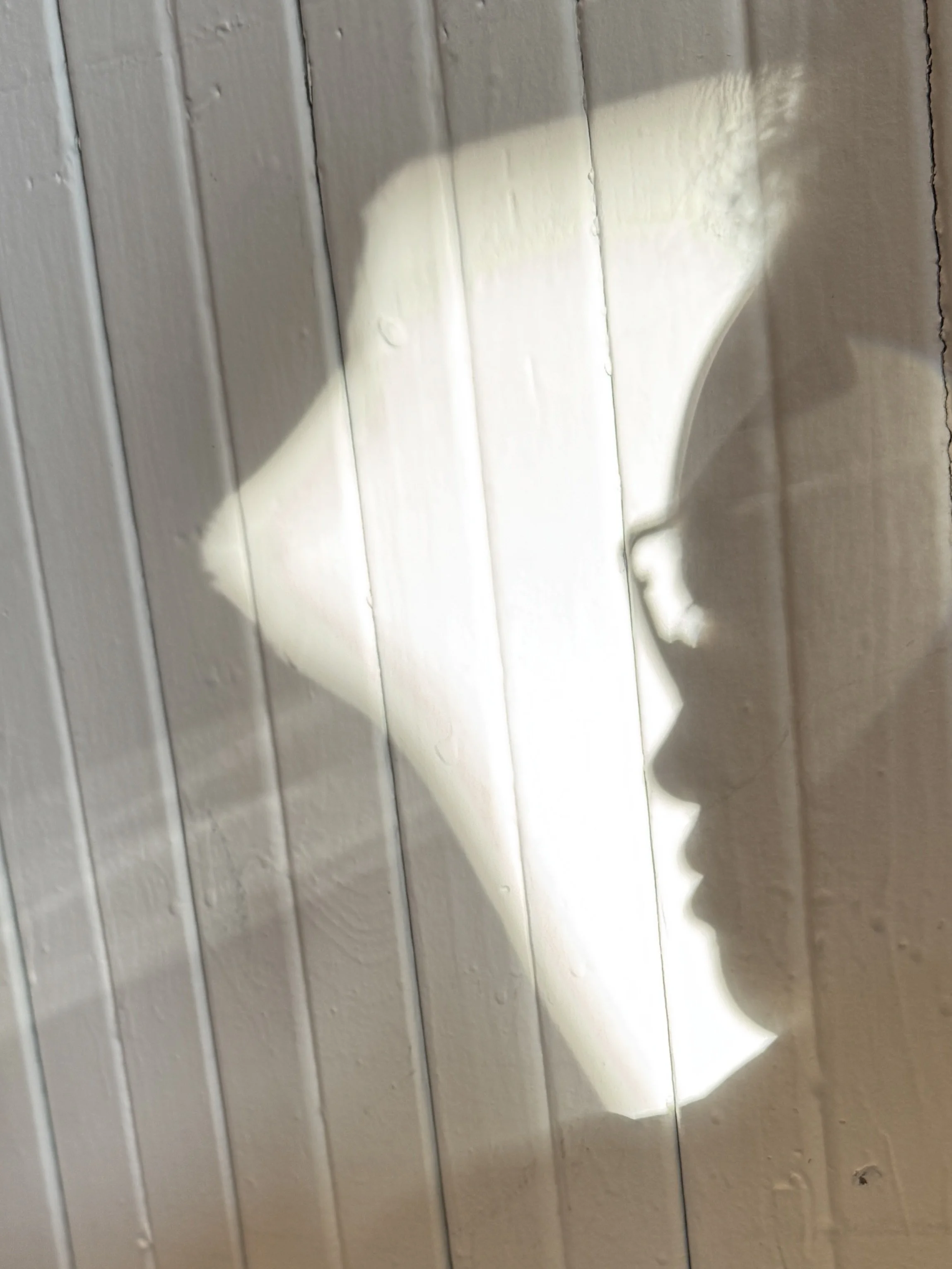 A profile of Alyson Wong wearing glasses is visible against a white painted wooden wall with vertical wooden slats, an organic curved outline of light surrounds this profile