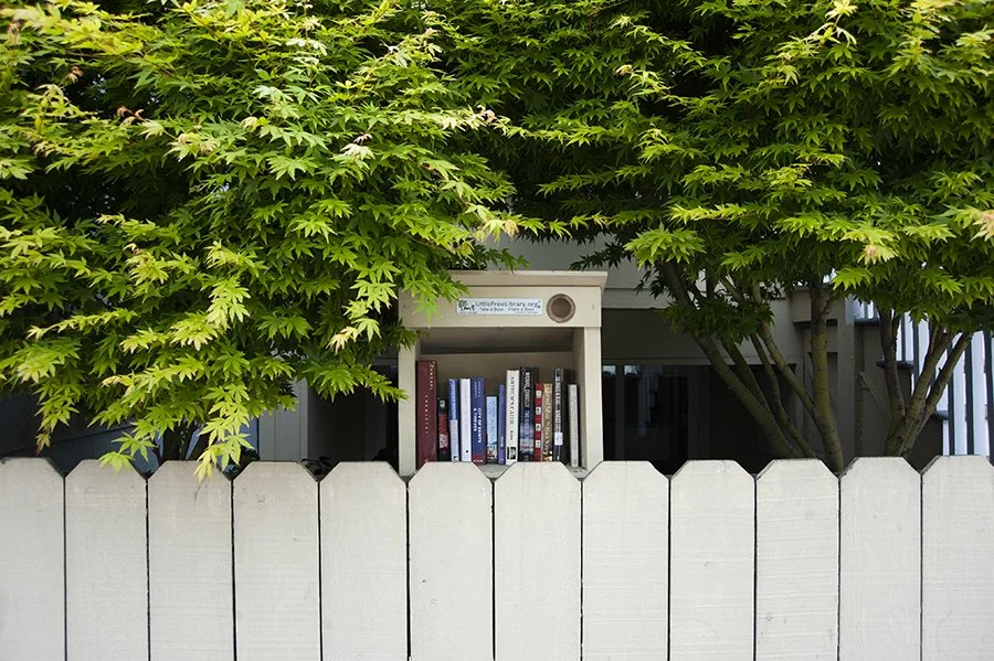 Little Free Library - Outer Richmond District, San Francisco