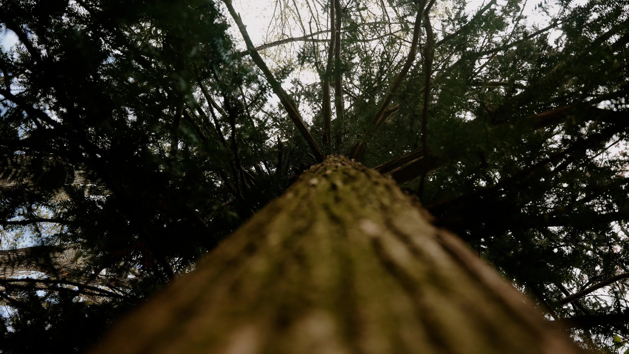 Full FIlm.00_02_44_11.Still020.jpg