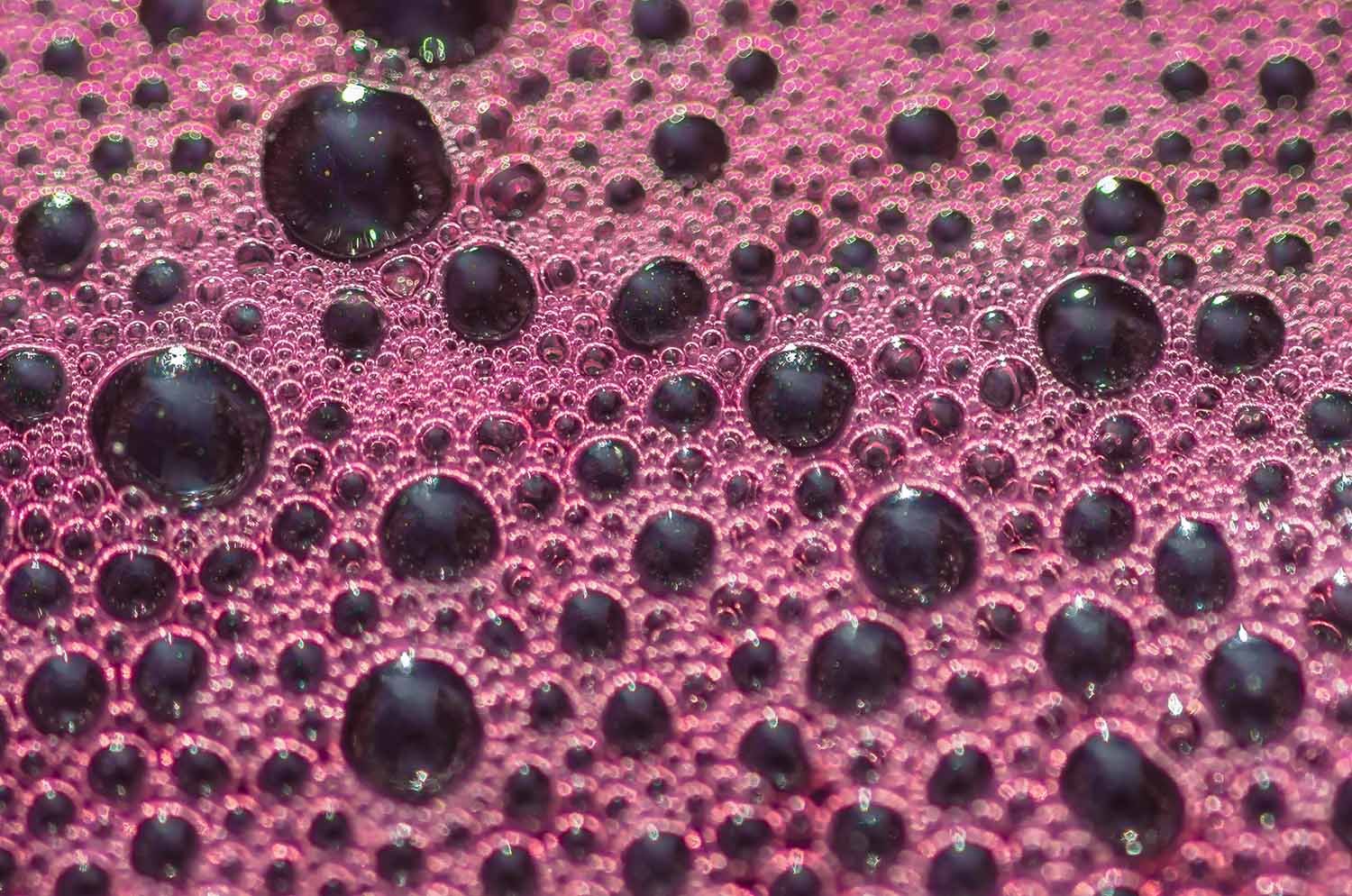 You think you have a stuck ferment…what next ?