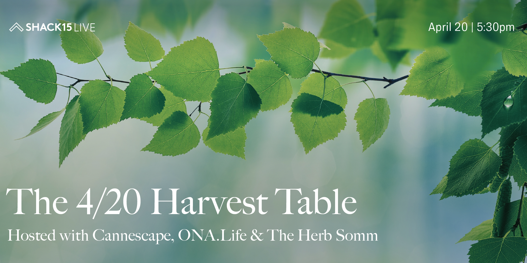 The 4/20 Harvest Table at SHACK15