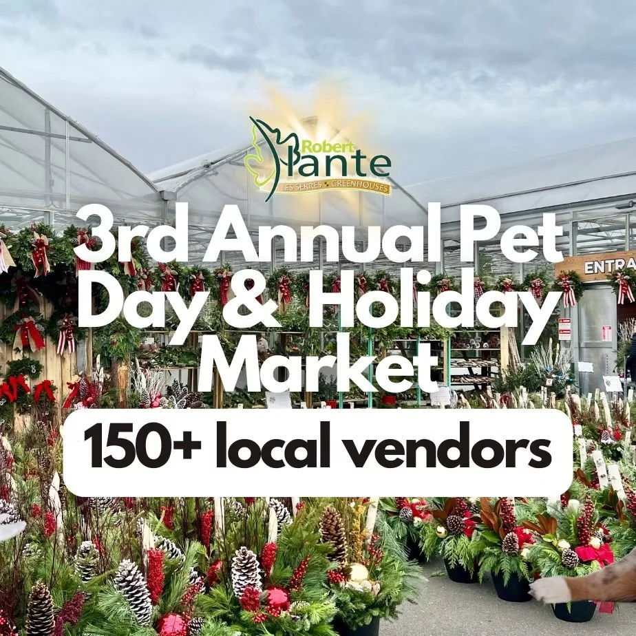 3rd Annual Pet Day & Holiday Market at Robert Plante Greenhouses 🐾🎄