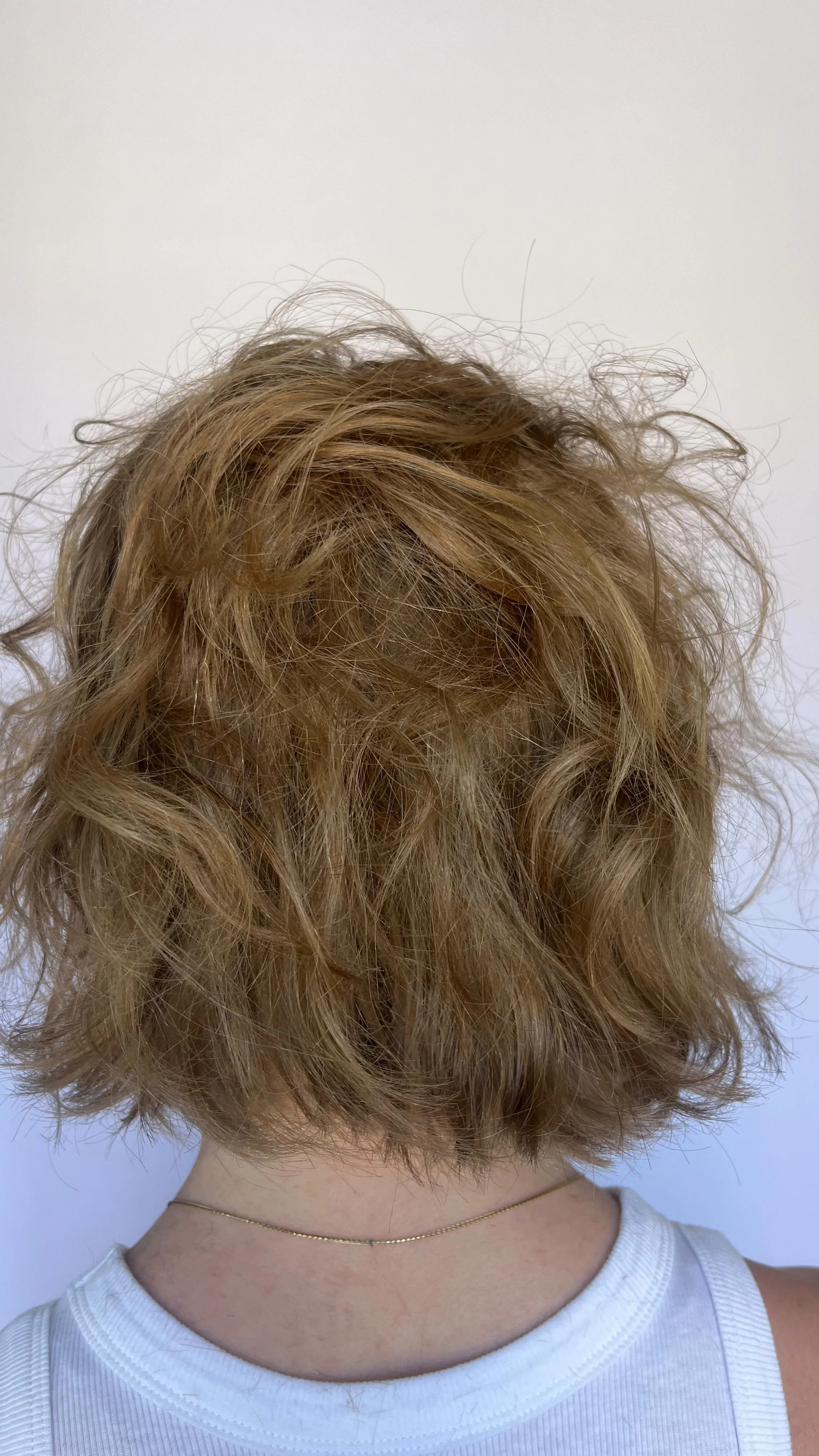 Rose Darling Salon Hair Salon Jacksonville, Florida