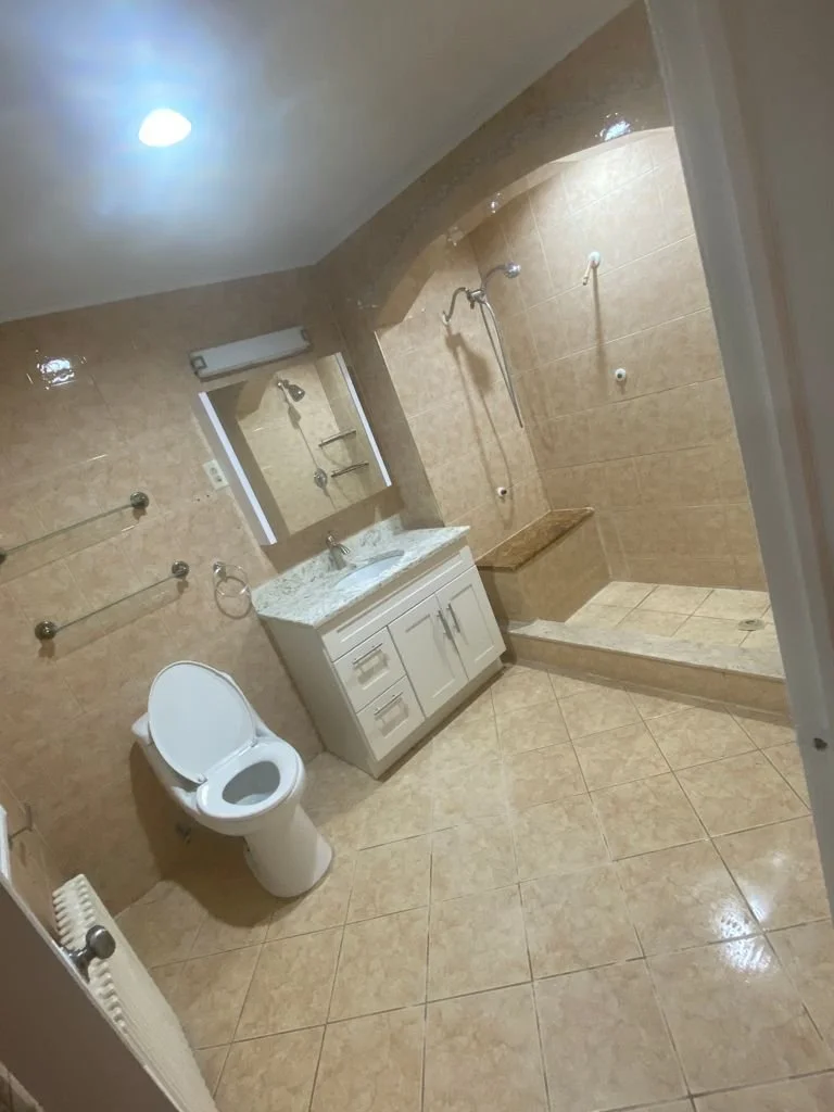 Bathroom with a toilet, vanity with a sink, mirror, and a walk-in shower with tiled walls and a bench.