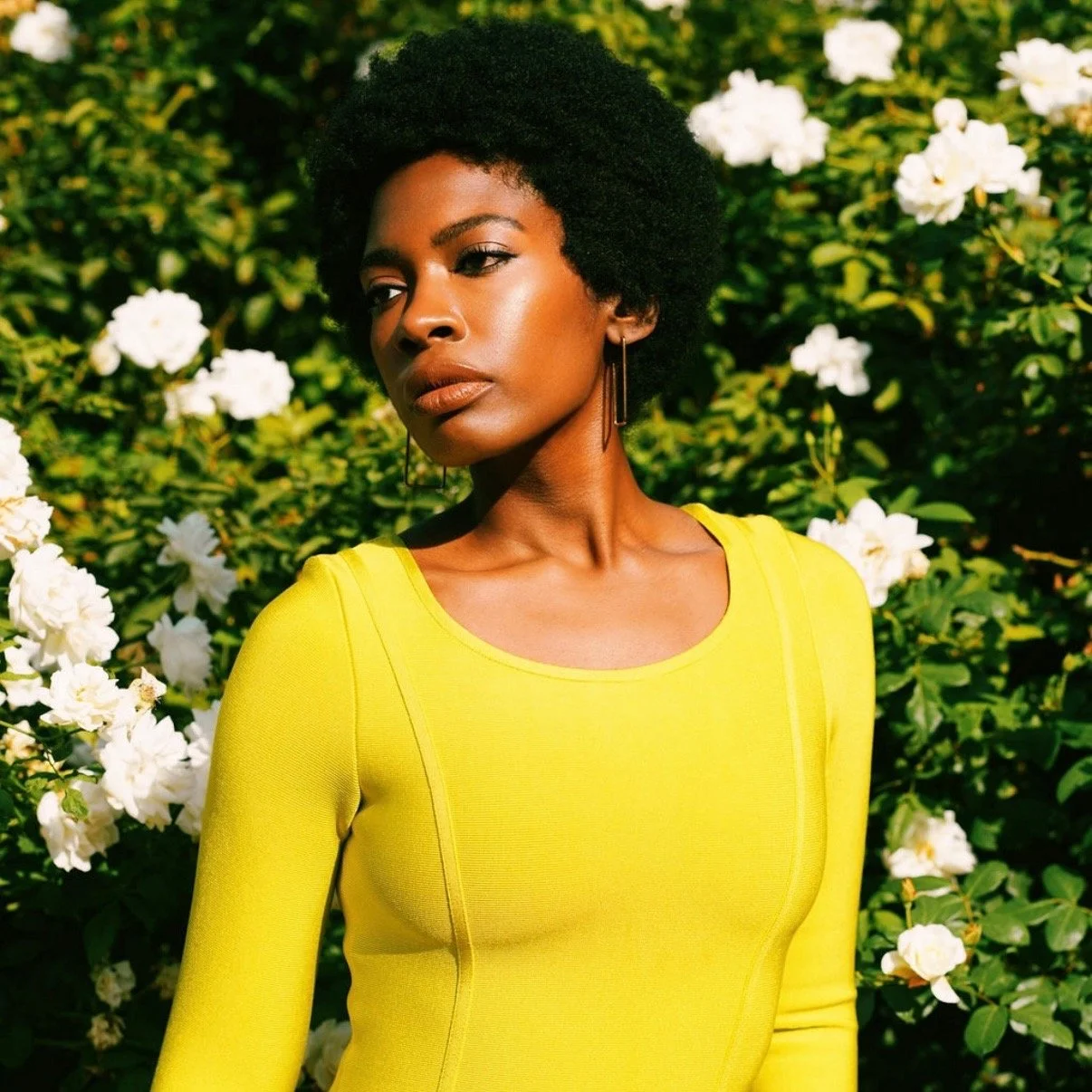 Photographer: Mark Allen @pulpvalley