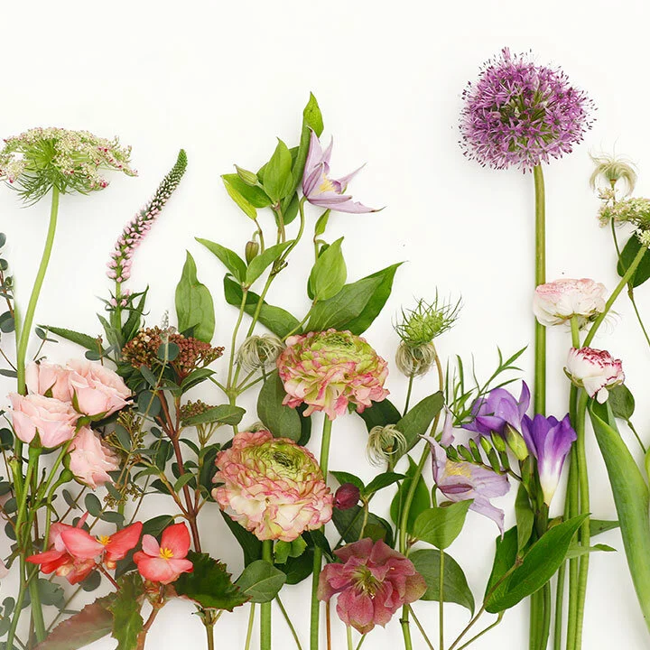 Celebrate Spring at Roger’s Gardens