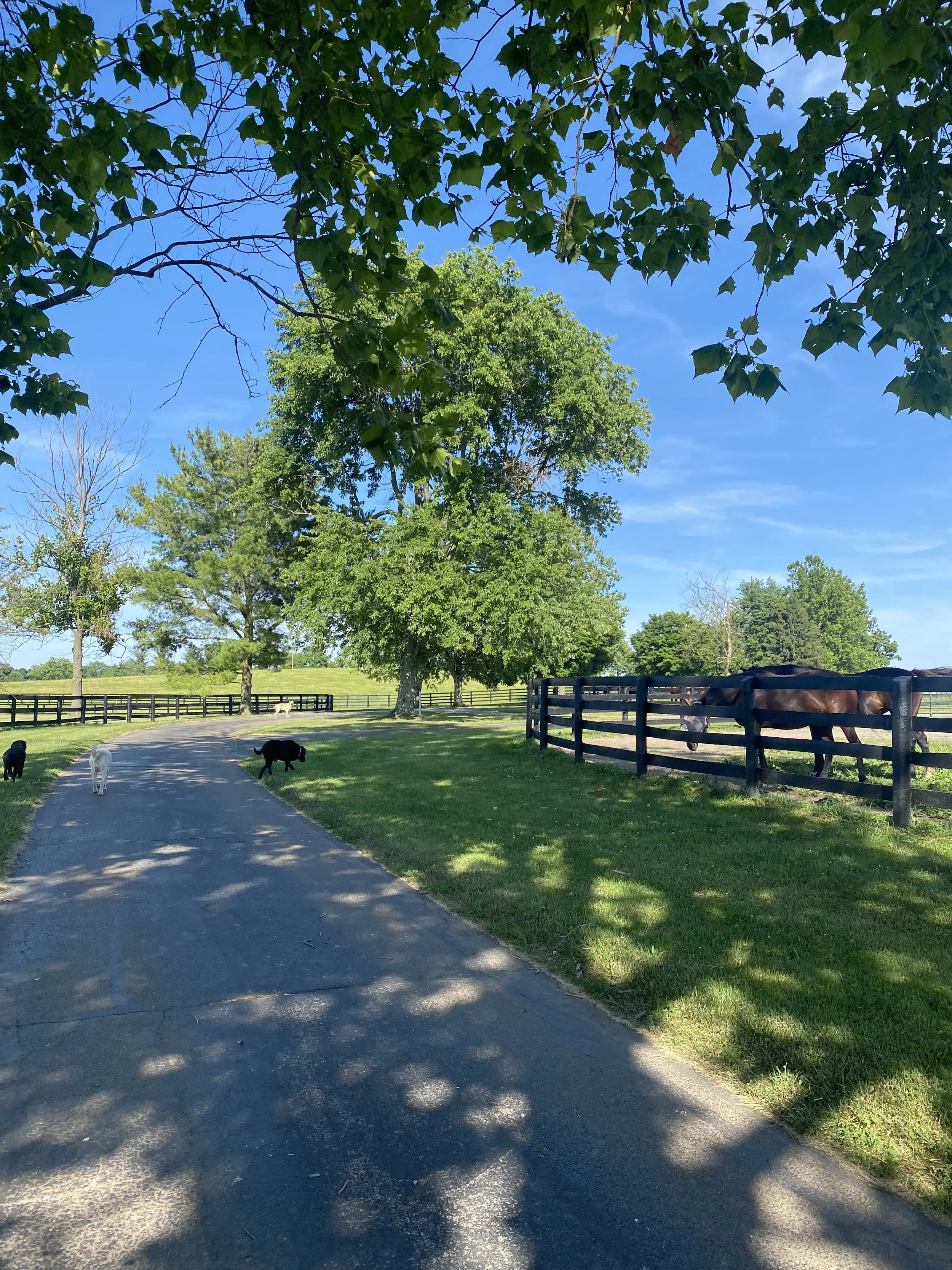 5 Smart and Healthy Ways to Take Care of Yourself in the Heat this Summer