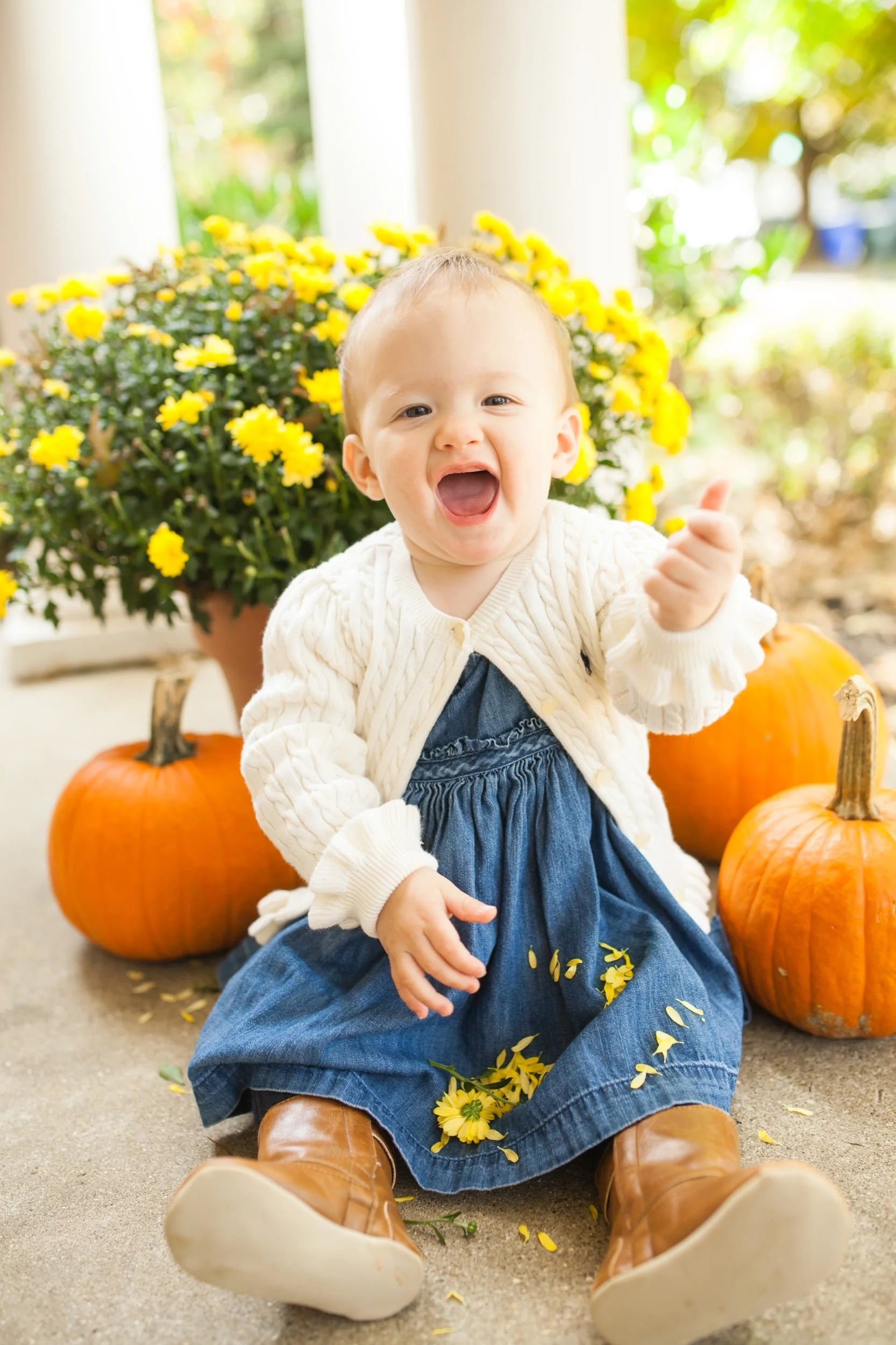 Pumpkin Patches to Visit this October