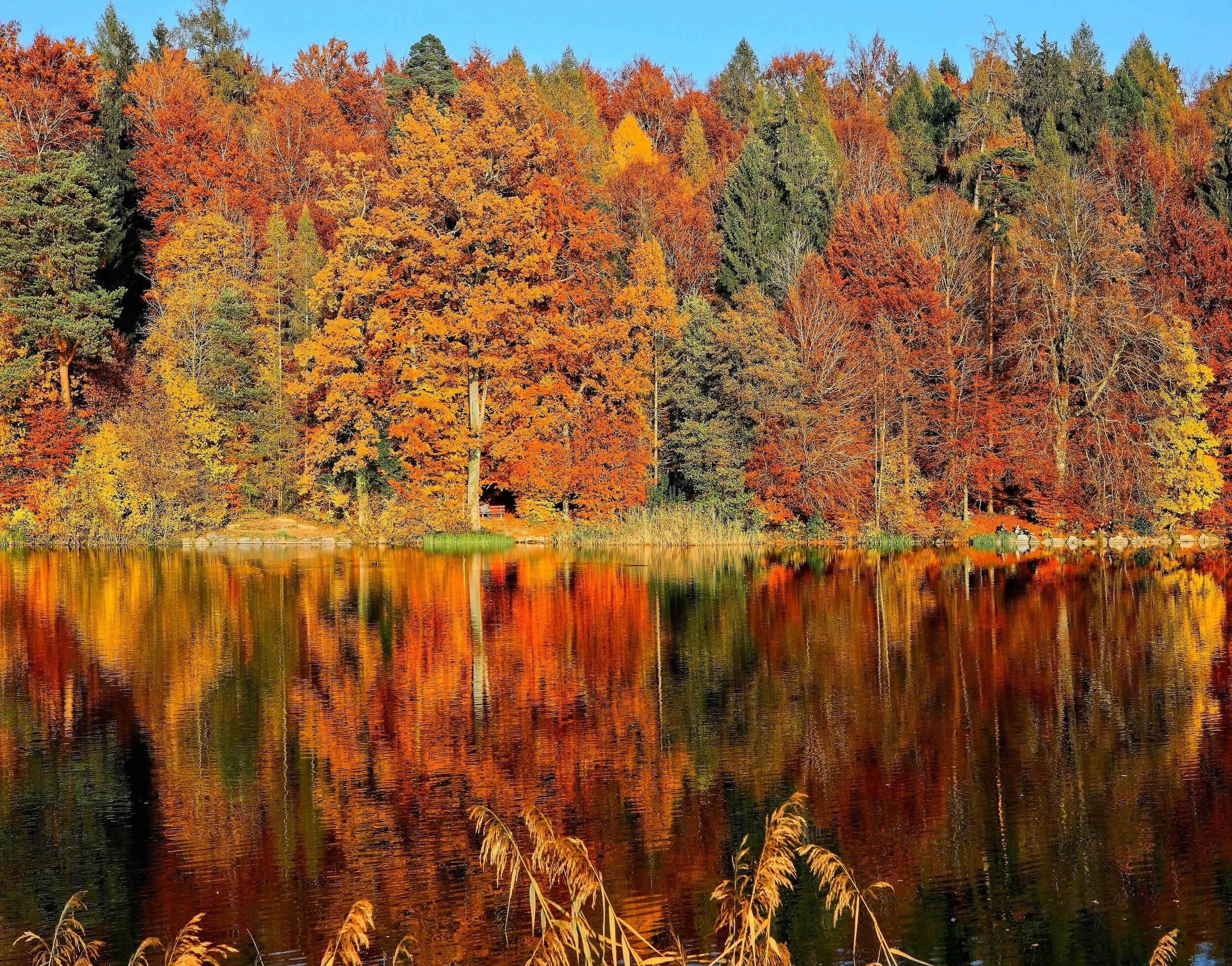 Capturing Autumn's Beauty: Top 7 Kentucky Spots for Fall Photography