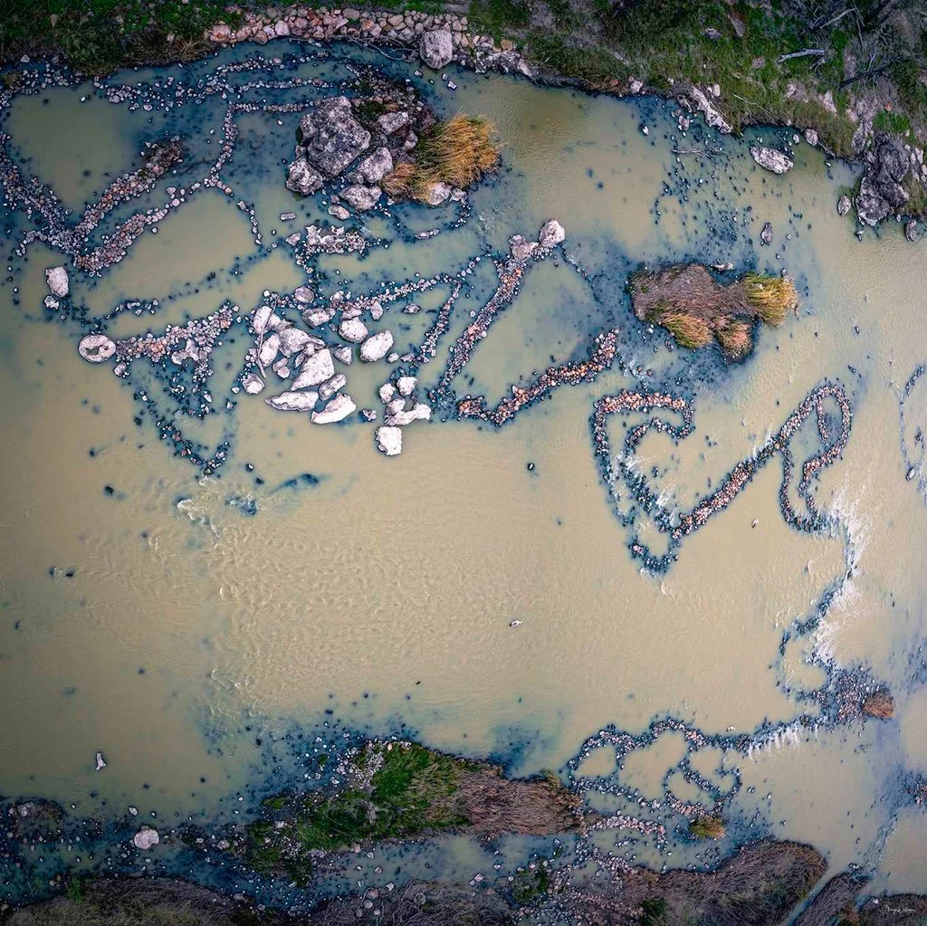 Congratulations George Williams