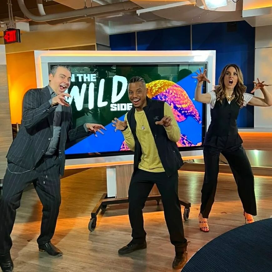 ROAARR!! ☝🏾That was our best attempt at a 🦁🤷🏾&zwj;♂️🤭

Earlier this week, for this special kids edition of #onethewildside
on @breakfasttelevision I answered their animal questions and chatted with @dina.pugliese
and @sid_seixeiro about animal t