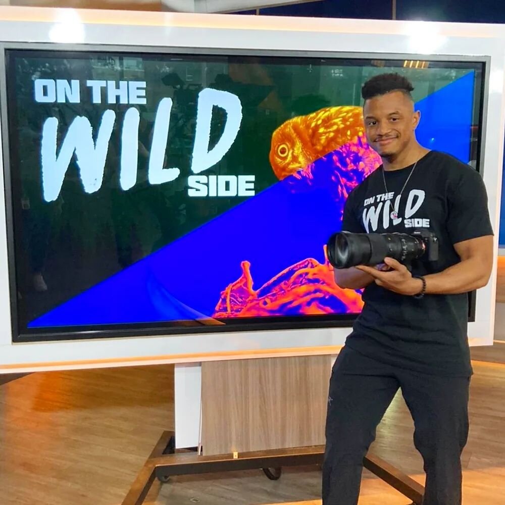 For this edition of #onethewildside on @breakfasttelevision I chatted with @dina.pugliese and @sid_seixeiro about the ethics of #wildlifephotograhy and what you should and shouldn't do.

Feed and baiting, disturbing, damaging habitats, overcrowding a