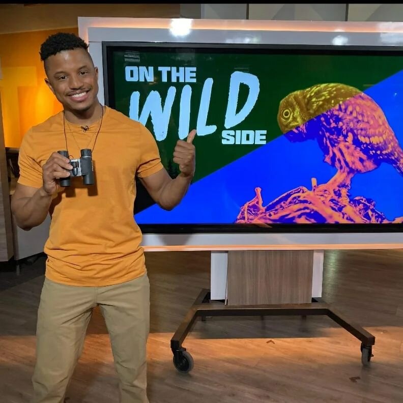 For this edition of #onthewildside on&nbsp;@breakfasttelevision , I covered&nbsp;the #springbirdmigration which is at its peak this week🐦

I chatted with @dina.pugliese and @sid_seixeiro  about why Toronto&nbsp;is such a hot spot for&nbsp;migrating 