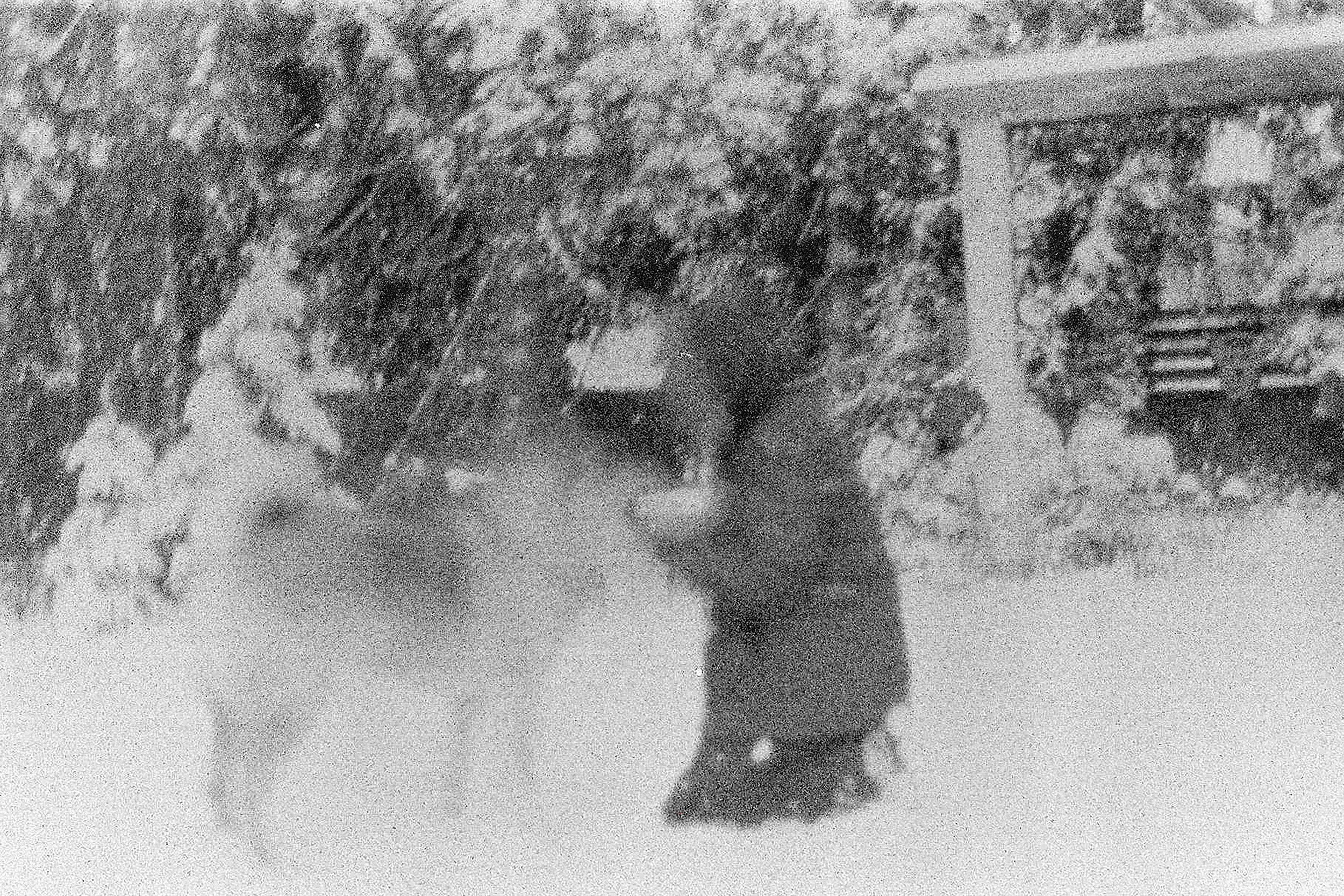 snow edited small.jpg