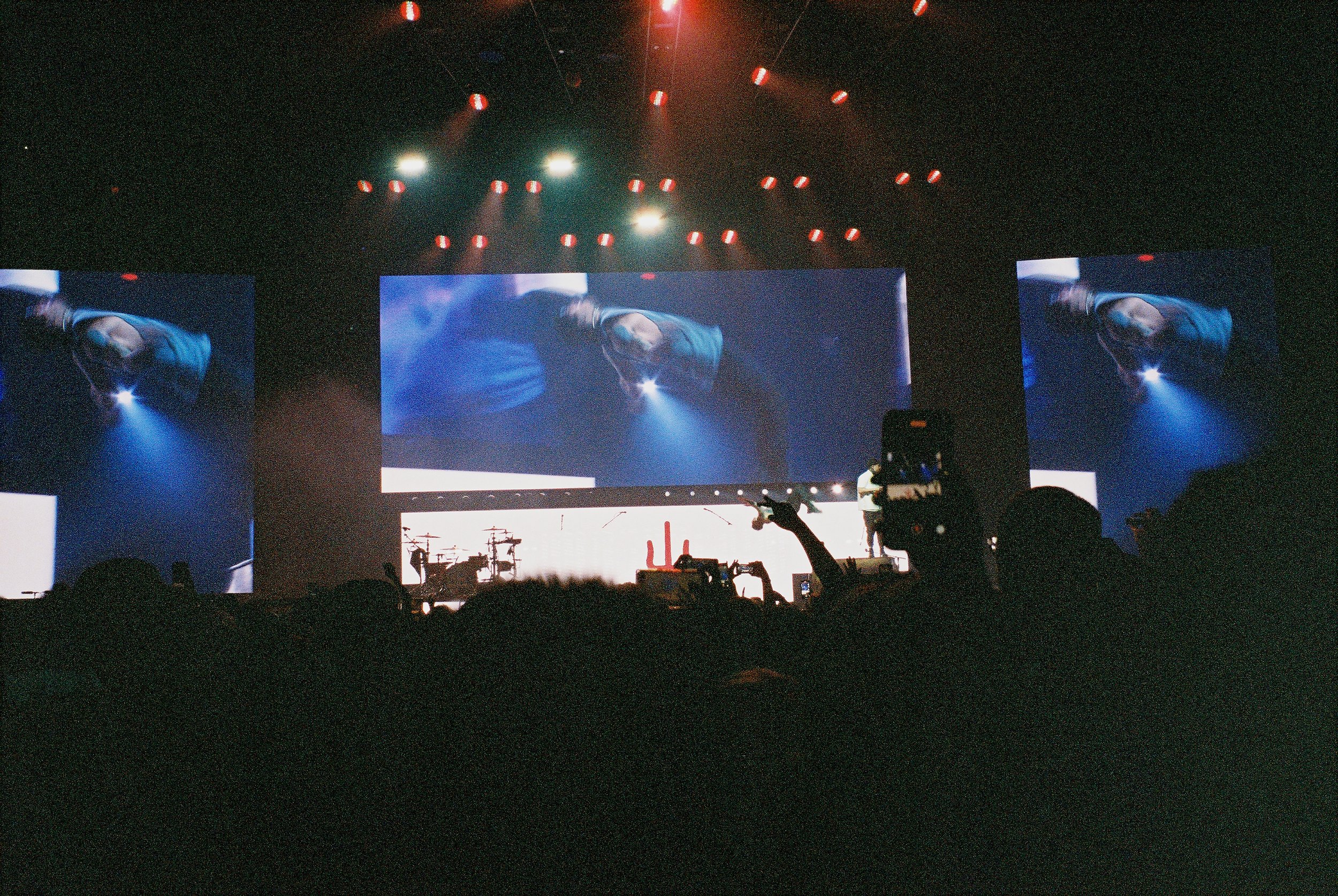 show edited 20 small.jpg