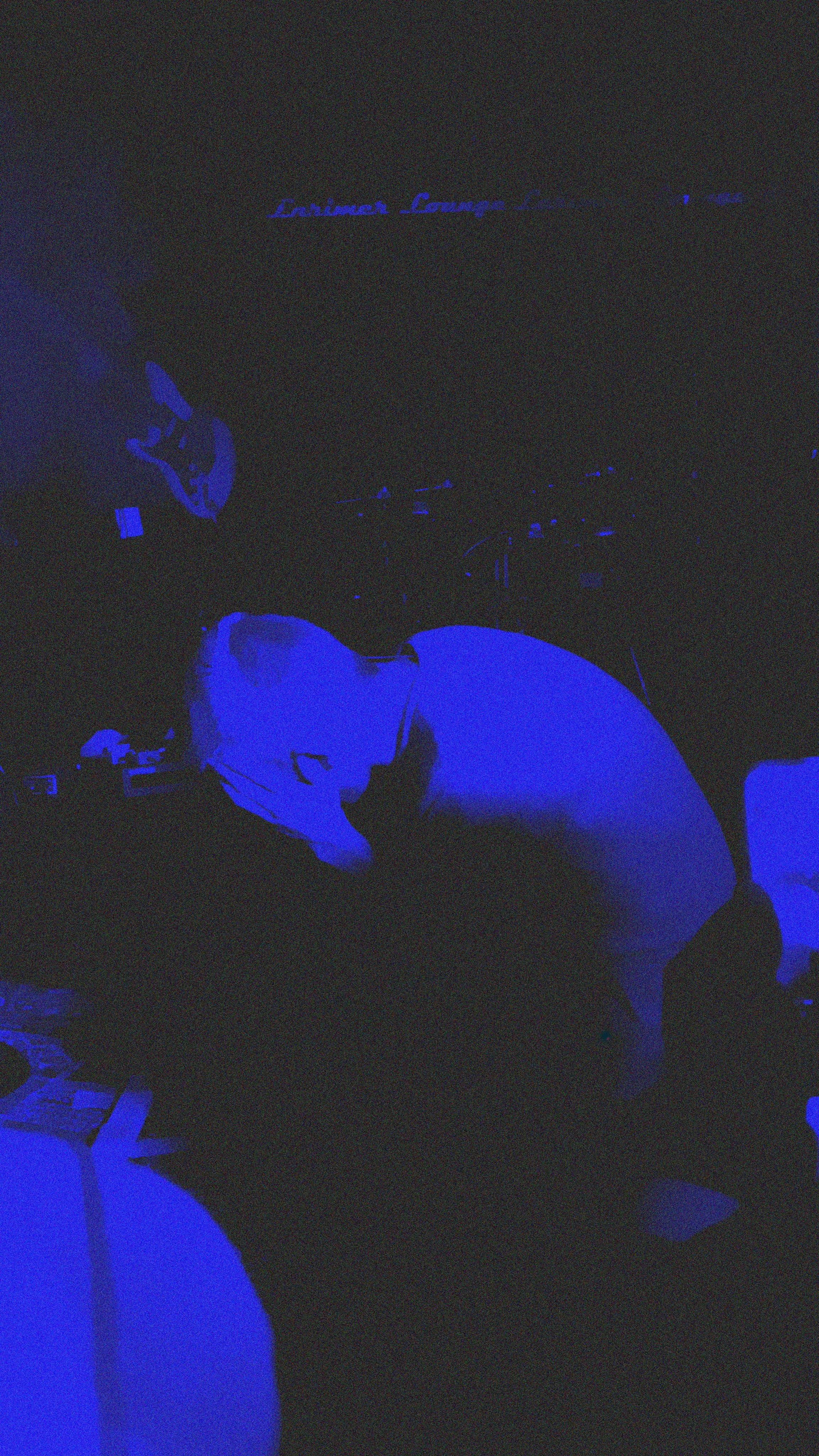 roy edited smaller.jpg