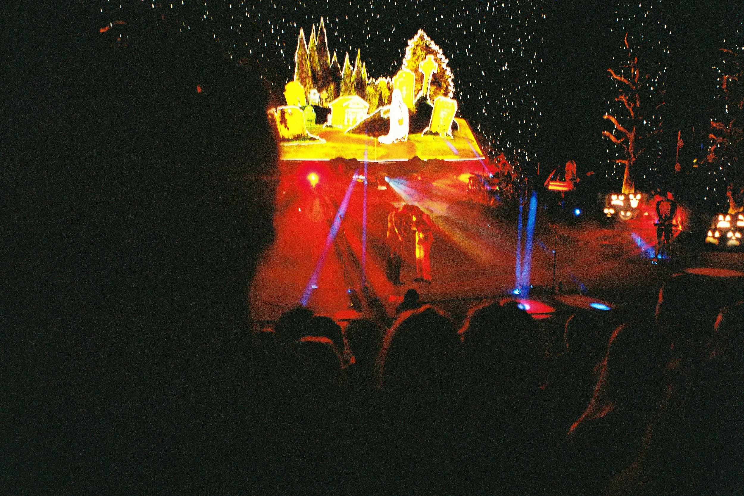 phoebe edited 17 small.jpg