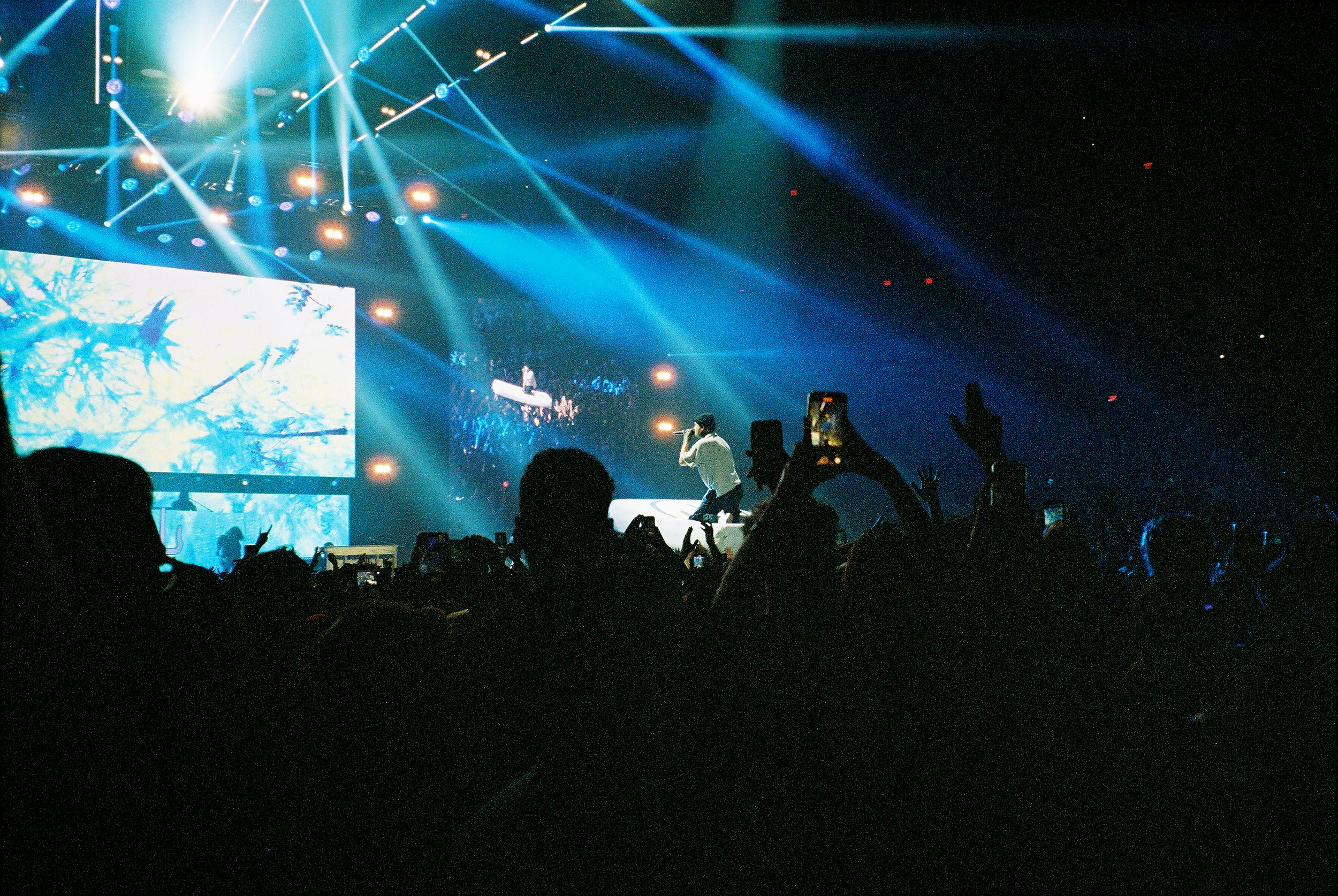 show edited 9 small.jpg