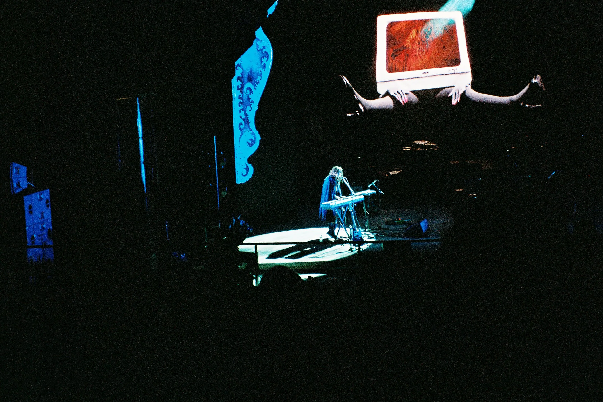 phoebe edited 1 small.jpg