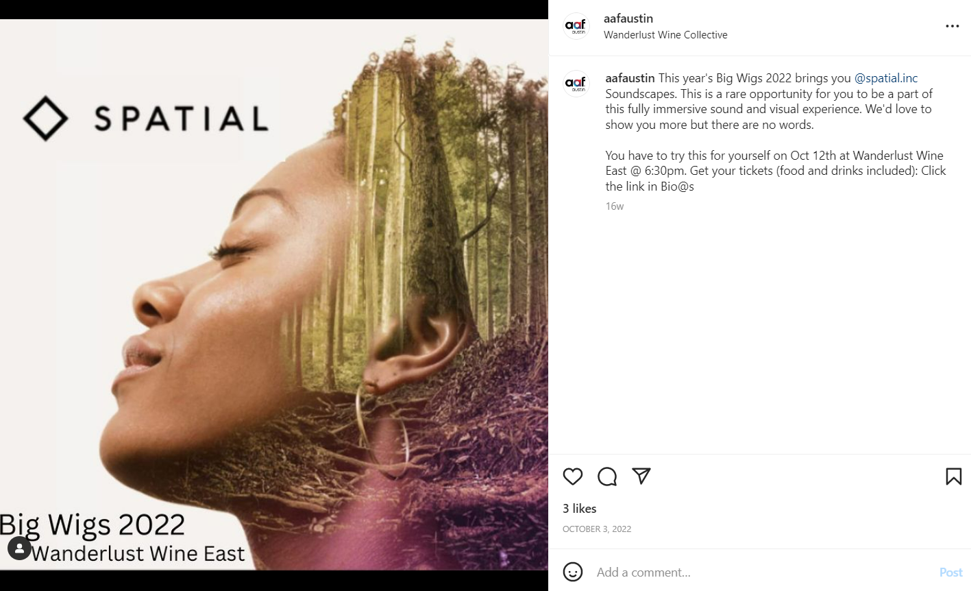 Promotional image with a side profile of a woman’s face and a forest scene overlaid within her silhouette, promoting the Big Wigs 2022 event by Wanderlust Wine East.