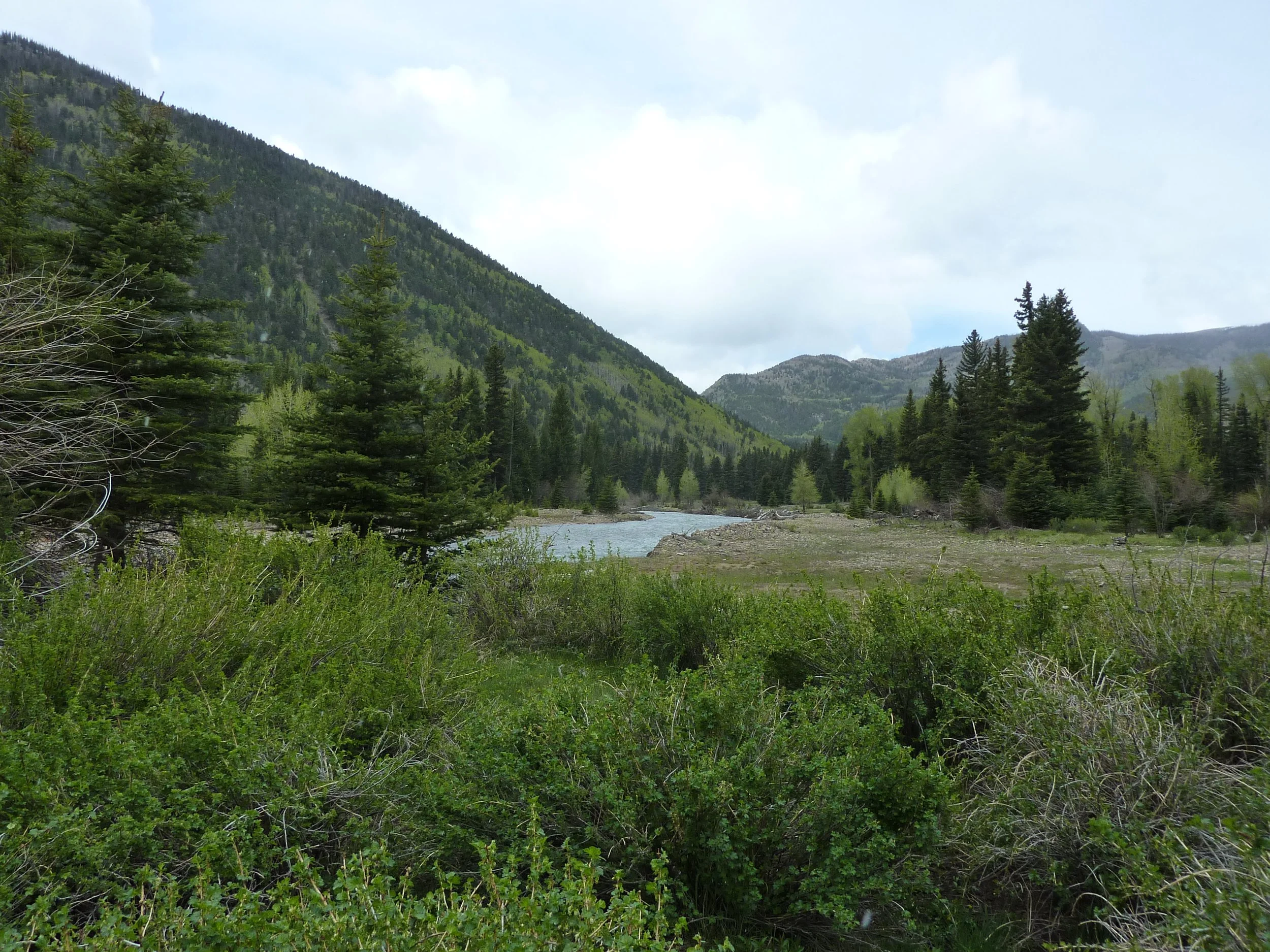 Jasper Springs — Rio Grande Headwaters Land Trust