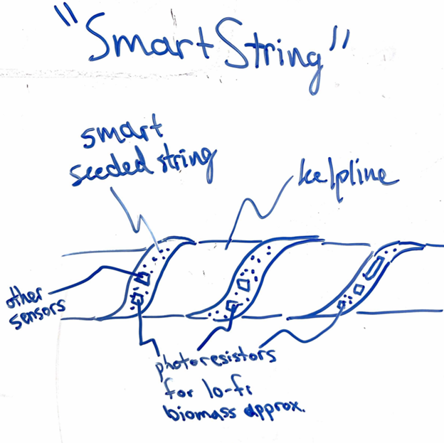 SetB_12.png