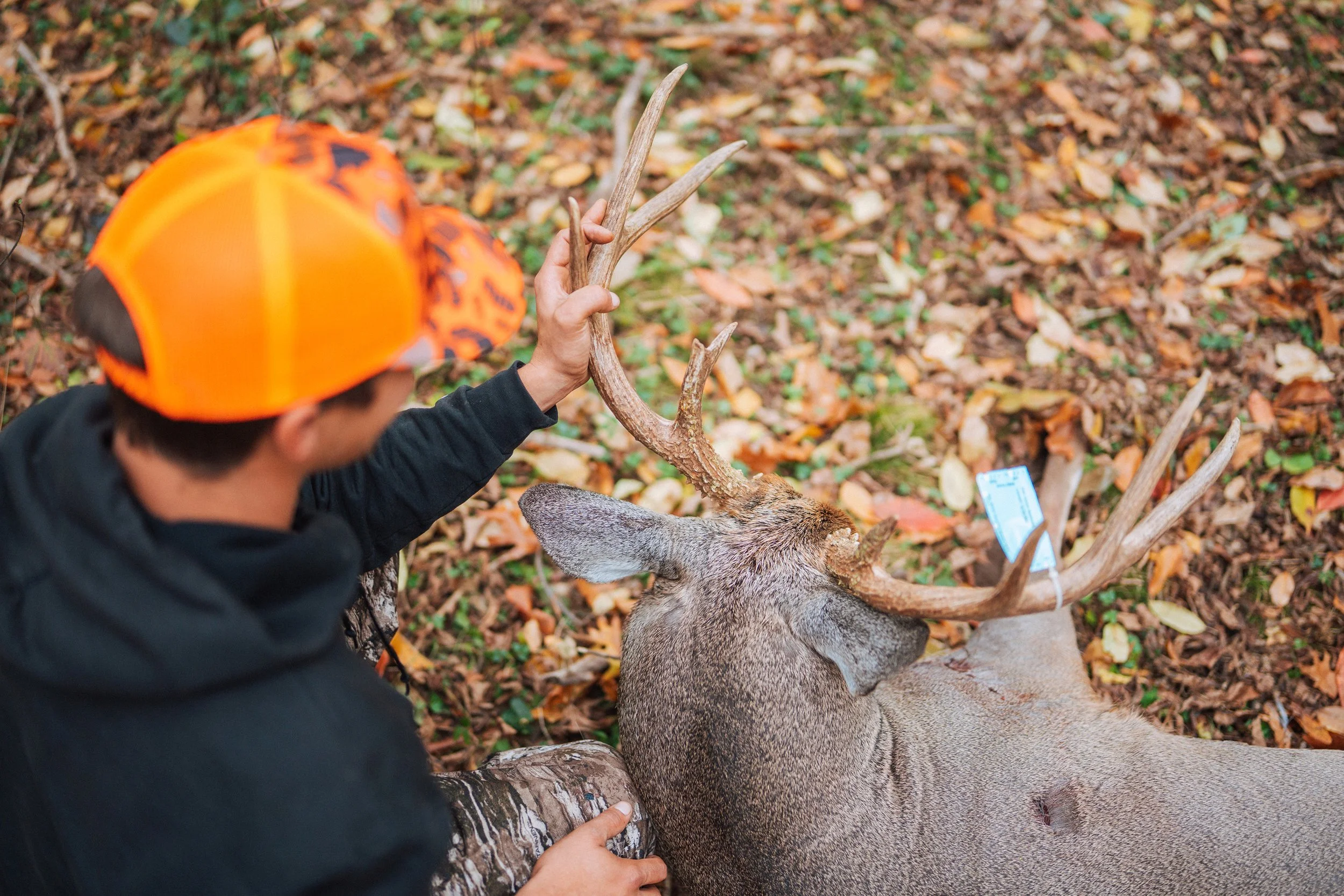 DSC08028 copy_web.jpg