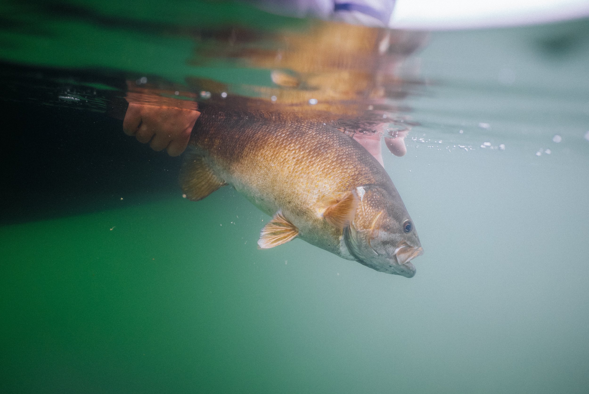 Photo Jan 06 2026, 2 47 43 PM (1).jpg