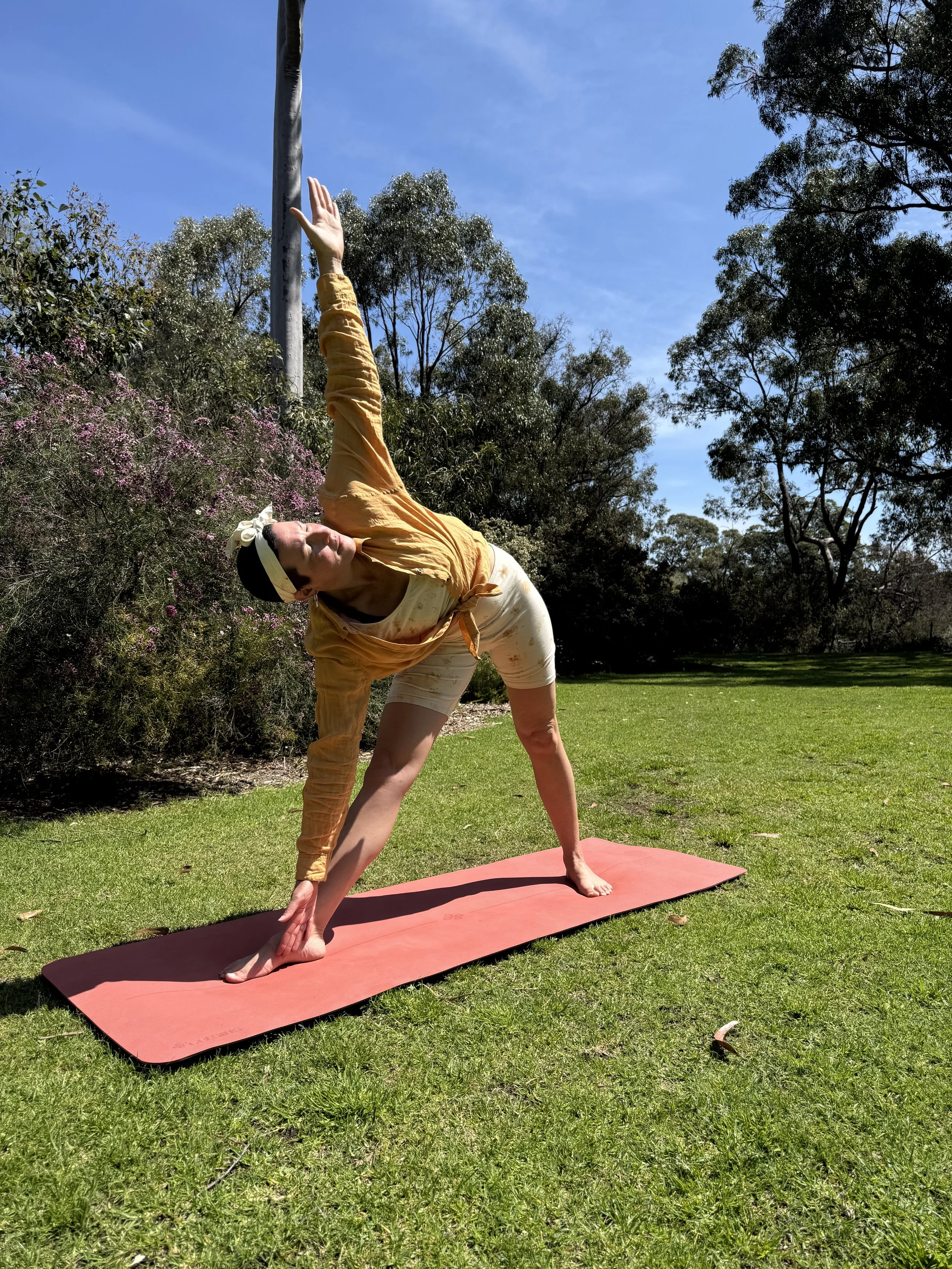 Yoga & Natural Dyeing Workshop – Scarborough Women's Shed