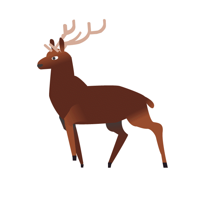 reindeer_PrCmp.gif