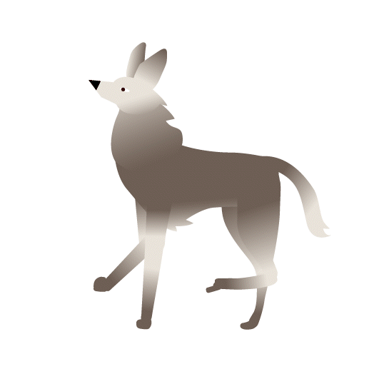 wolf_PrCmp.gif
