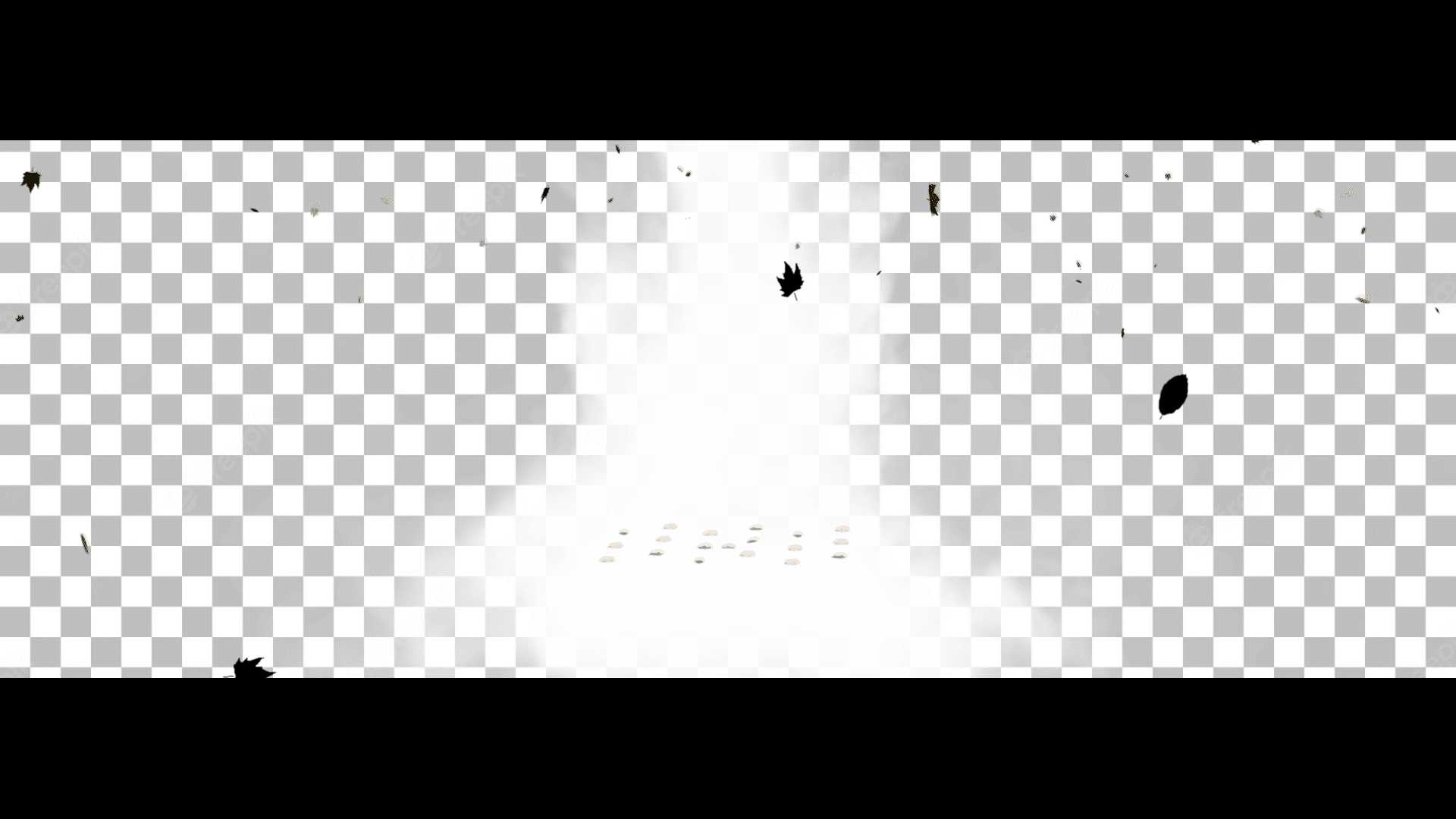 MyQ_CompOverComp_LeavesAndSmoke_v 1.gif
