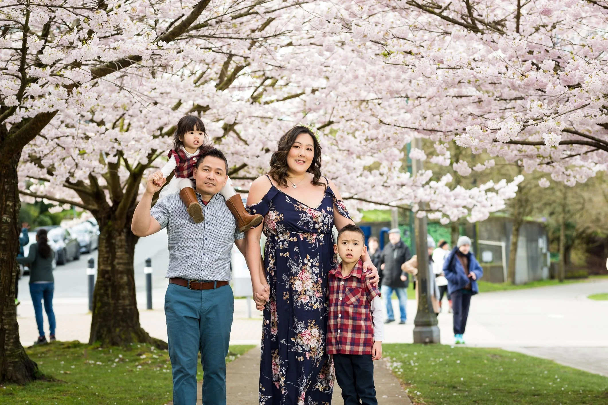 A family stands under cherry blossom trees; father holds daughter on shoulders, mother holds son's hand.