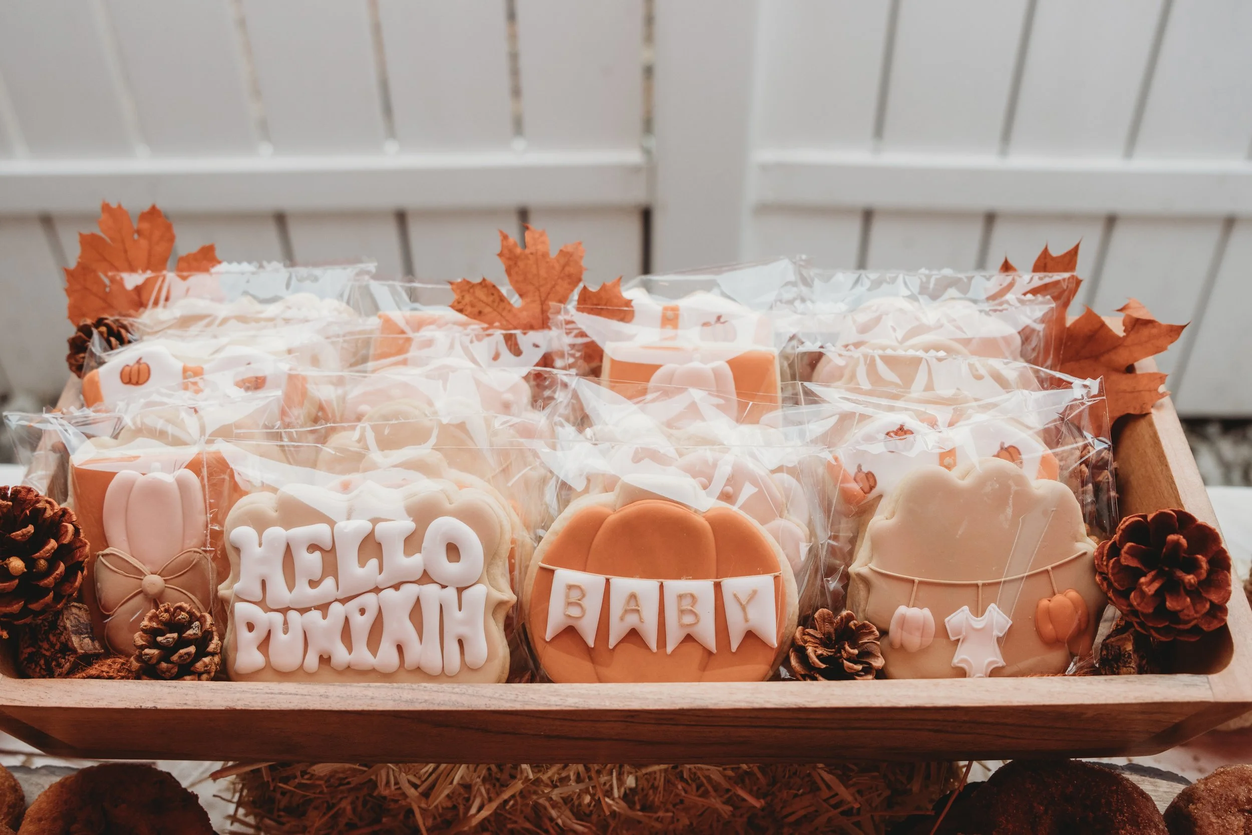 KAITLIN GENDER REVEAL-4.jpg