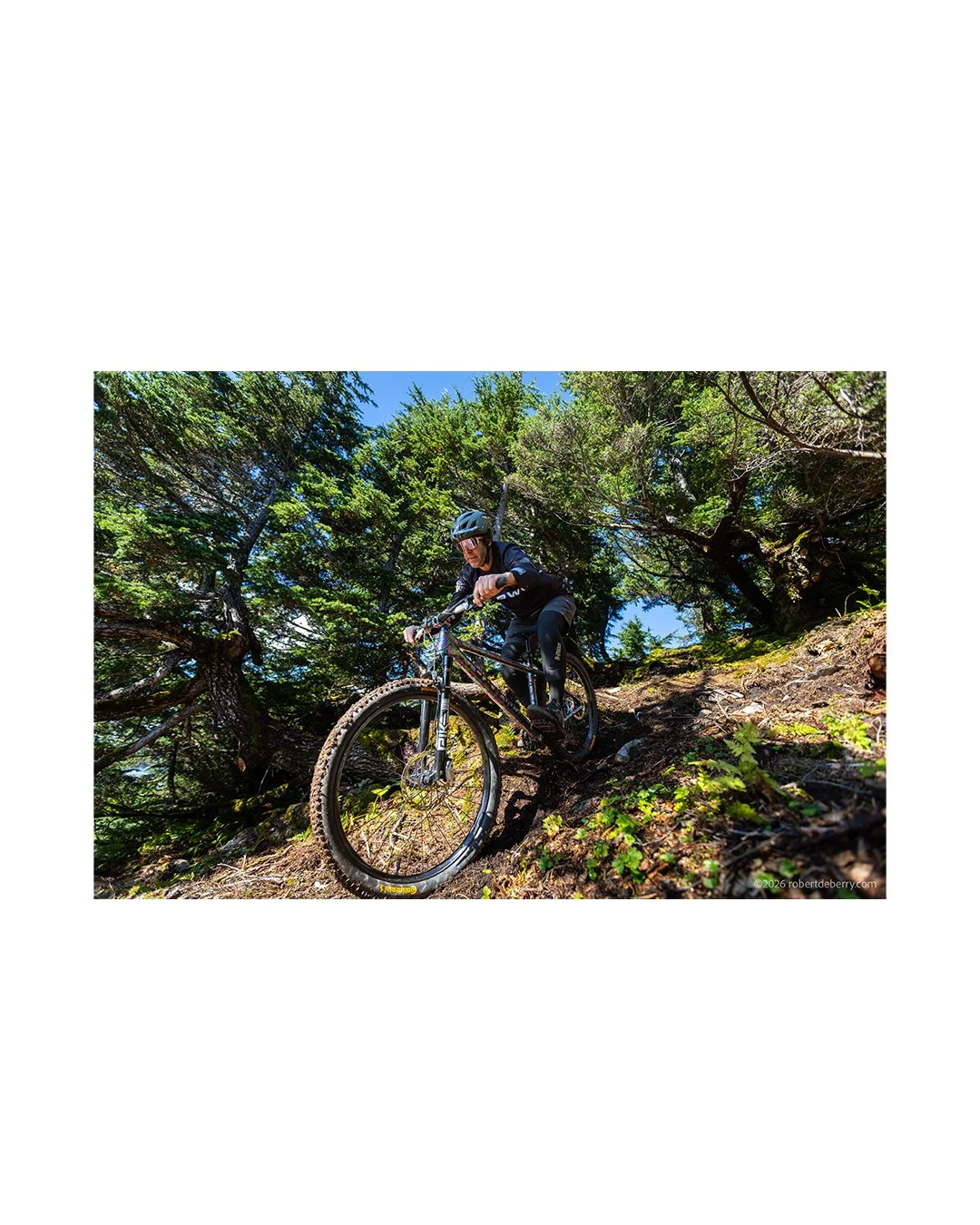 Point it downhill and go, on a hard tail designed and built by @darwin_designs 

Check them out. Custom hand built in AK.

#custombuiltbikes #shotoncanon #lifebehindbars