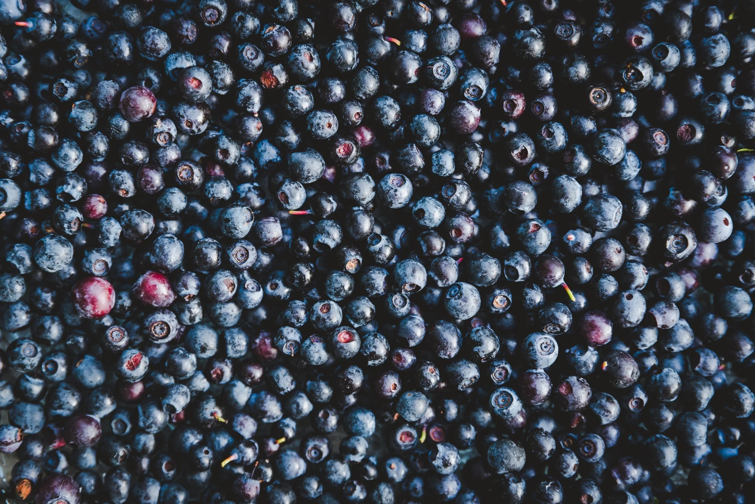 unsplash-image-BCbYlrdgSdQ.jpg