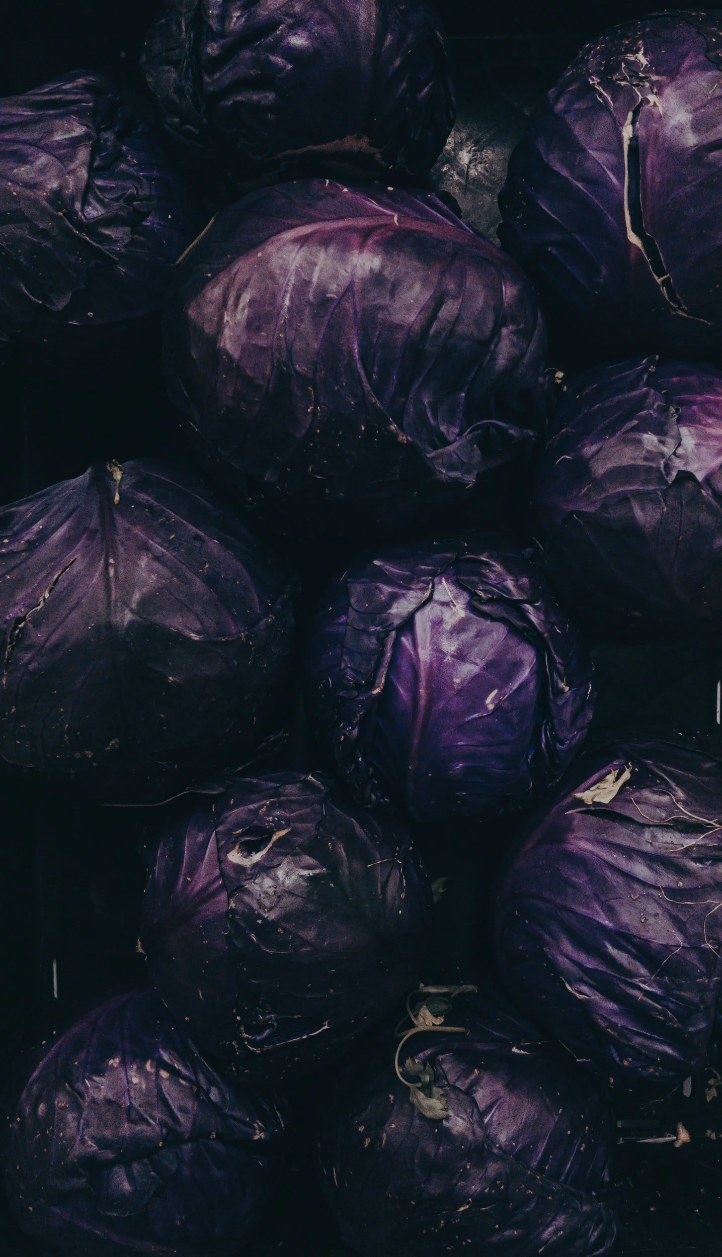 unsplash-image-Oe-GZ2zof9w.jpg