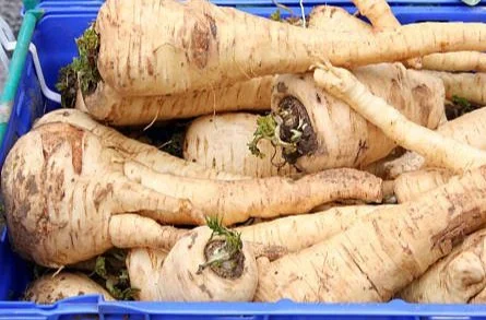 organic-vegetables-on-market-stall-picture-id182502211.jpg