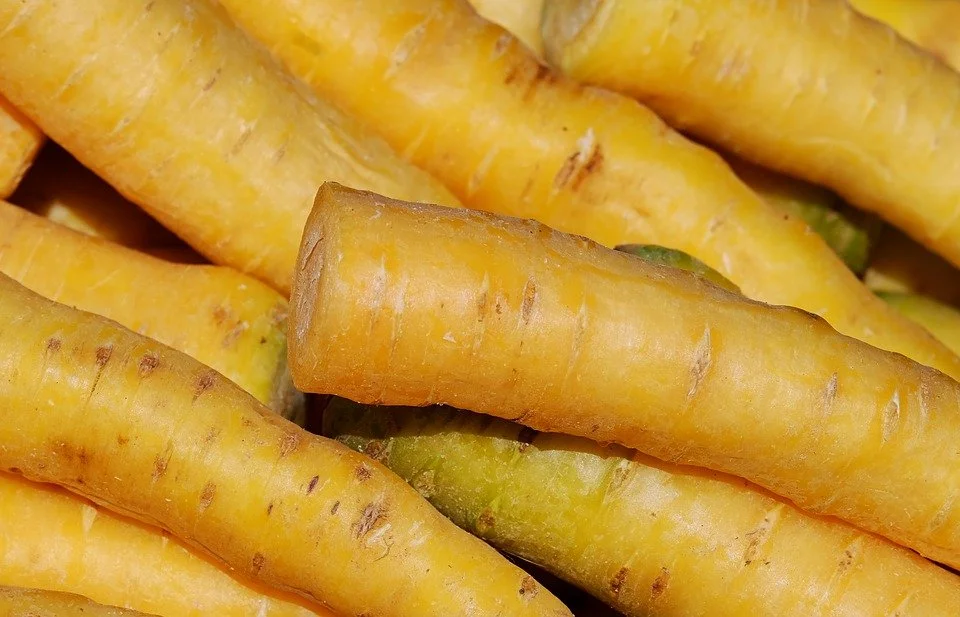 yellow-carrots-3264305_960_720.jpg