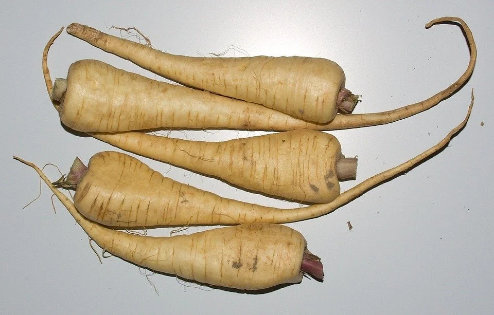 Pastinake1.jpg
