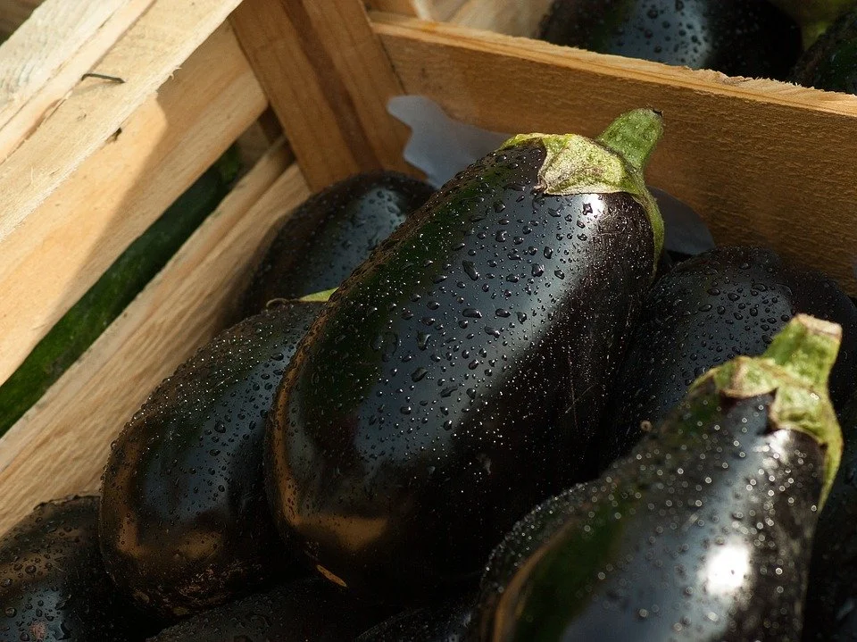 Aubergine.jpg