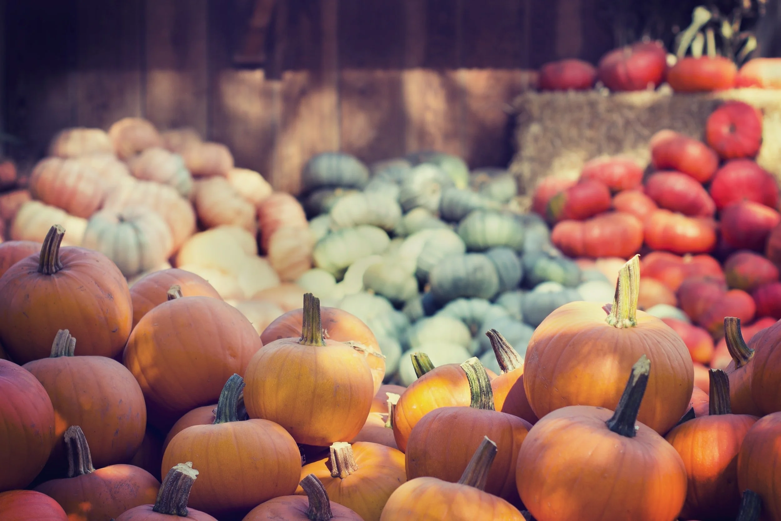 unsplash-image-w7gqF92AL2A.jpg