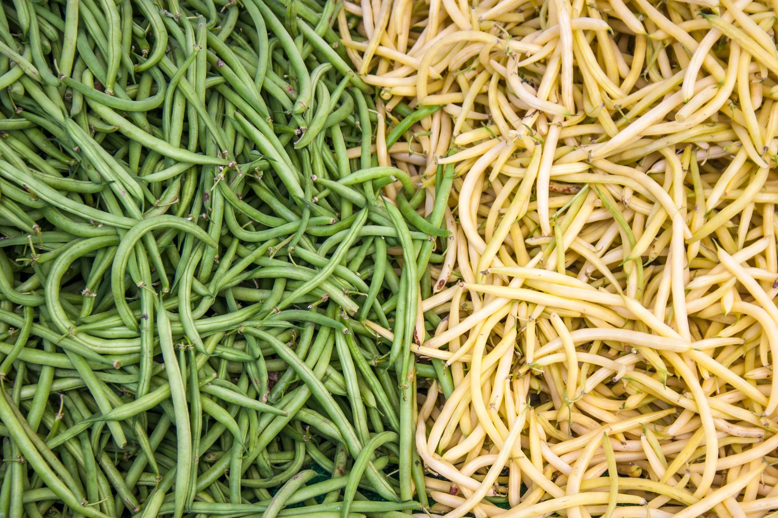 unsplash-image-1nlMAfTbF9s.jpg