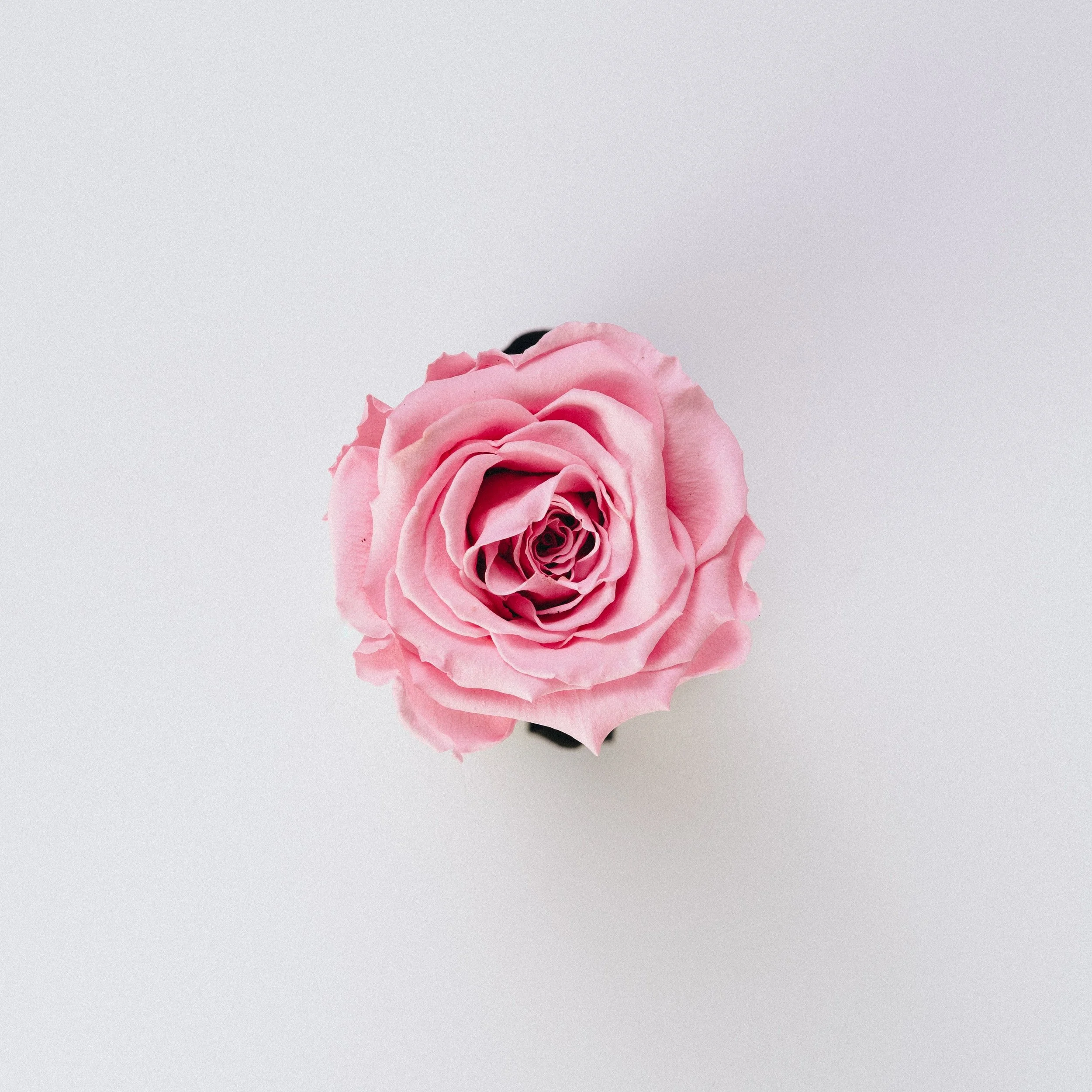 unsplash-image-x68FaxTyx90.jpg