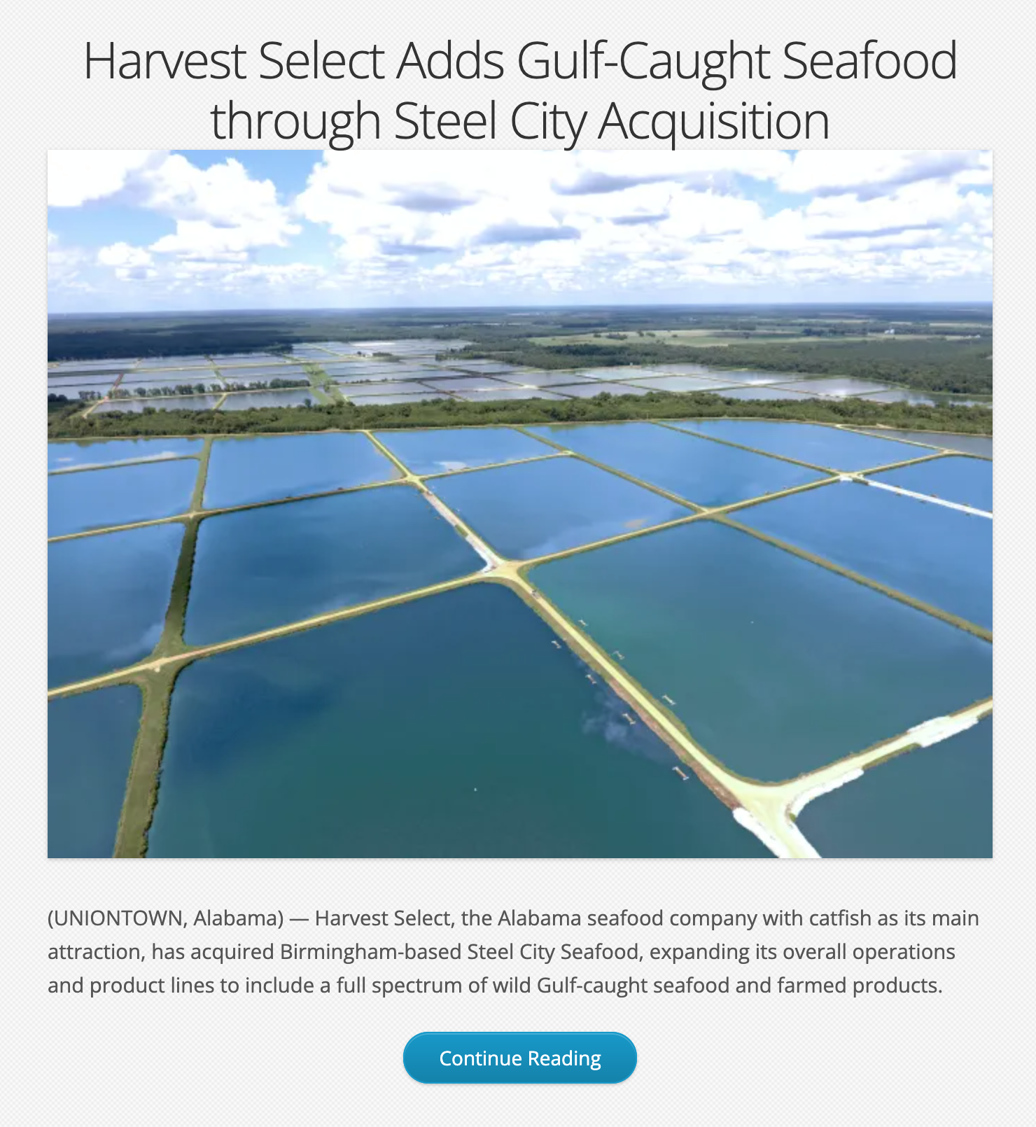 NEWS BUREAUS: Our vast expertise in media management involves lead roles in client news bureaus. For two years, Envolve Strategies led the Gulf Seafood Foundation's independent news operations in the Gulf of Mexico.