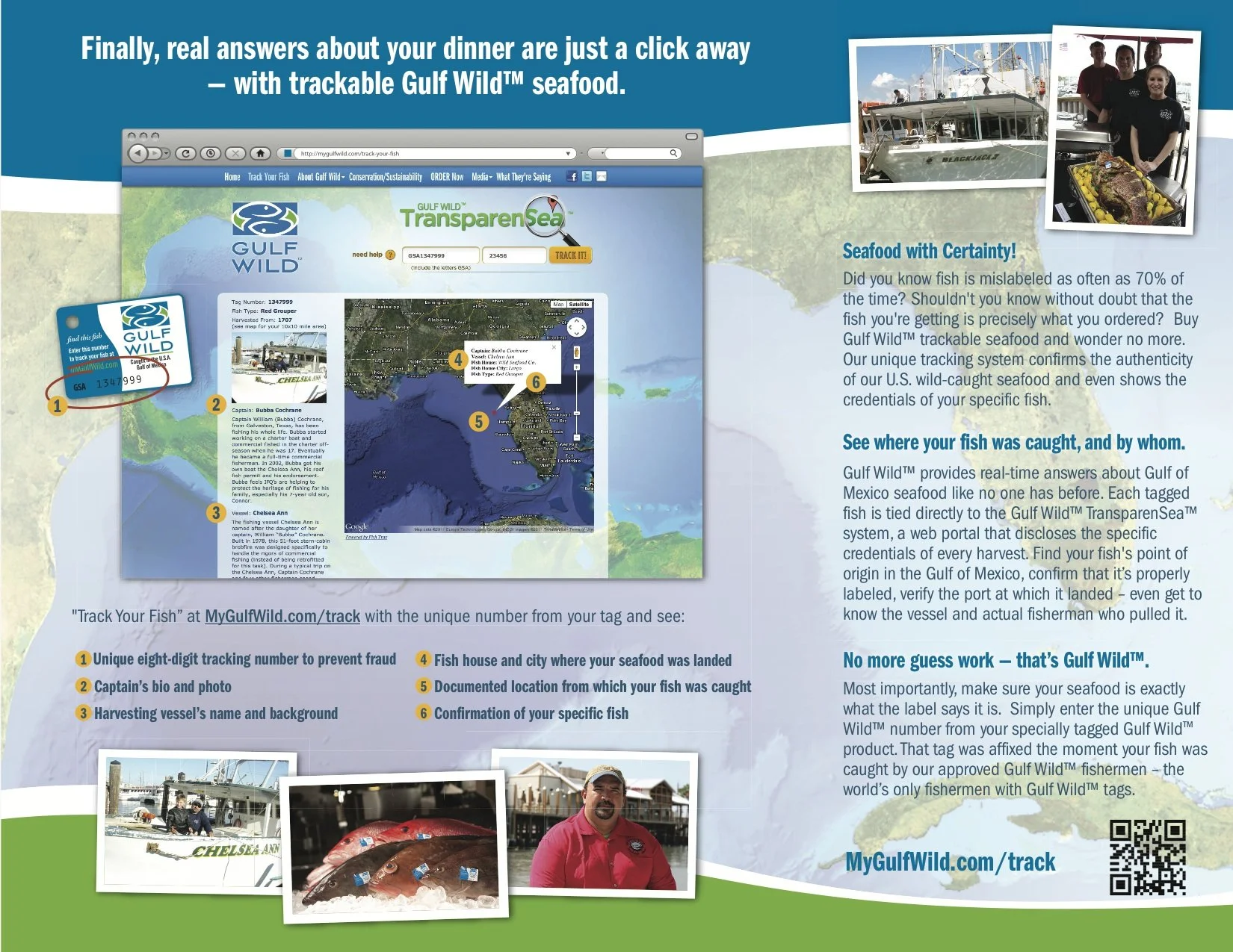 Tri-fold brochure as marketing collateral