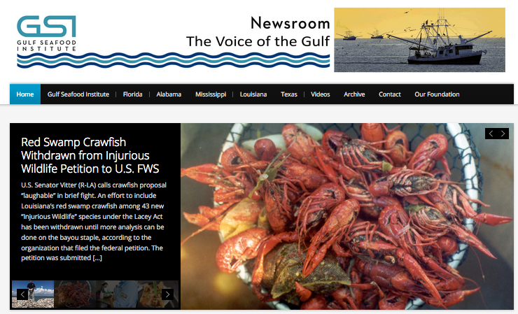 A Gulf of Mexico news bureau, one of several online news initiatives we've managed.